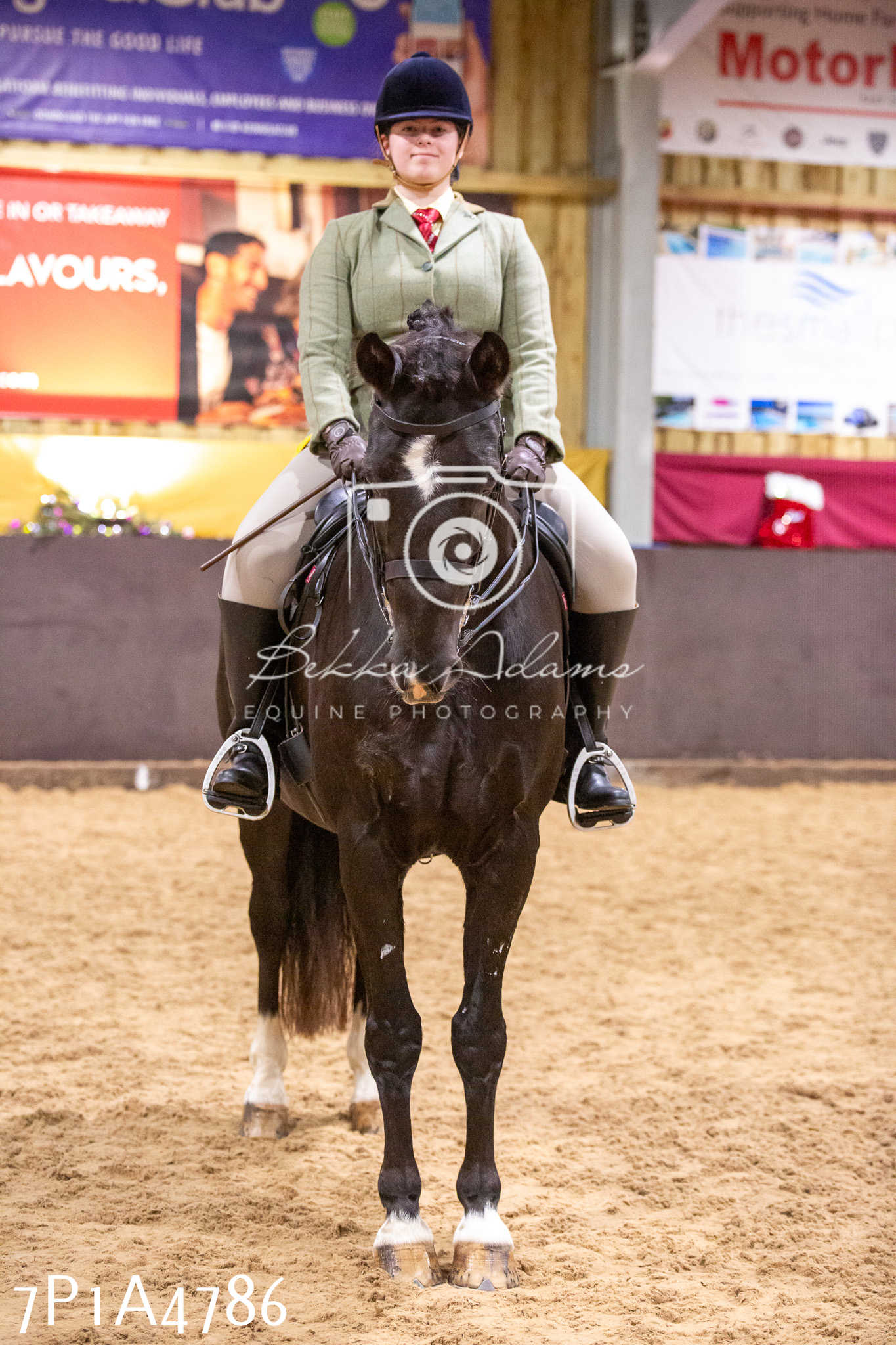 Home Farm Christmas Show 2024 - Ridden