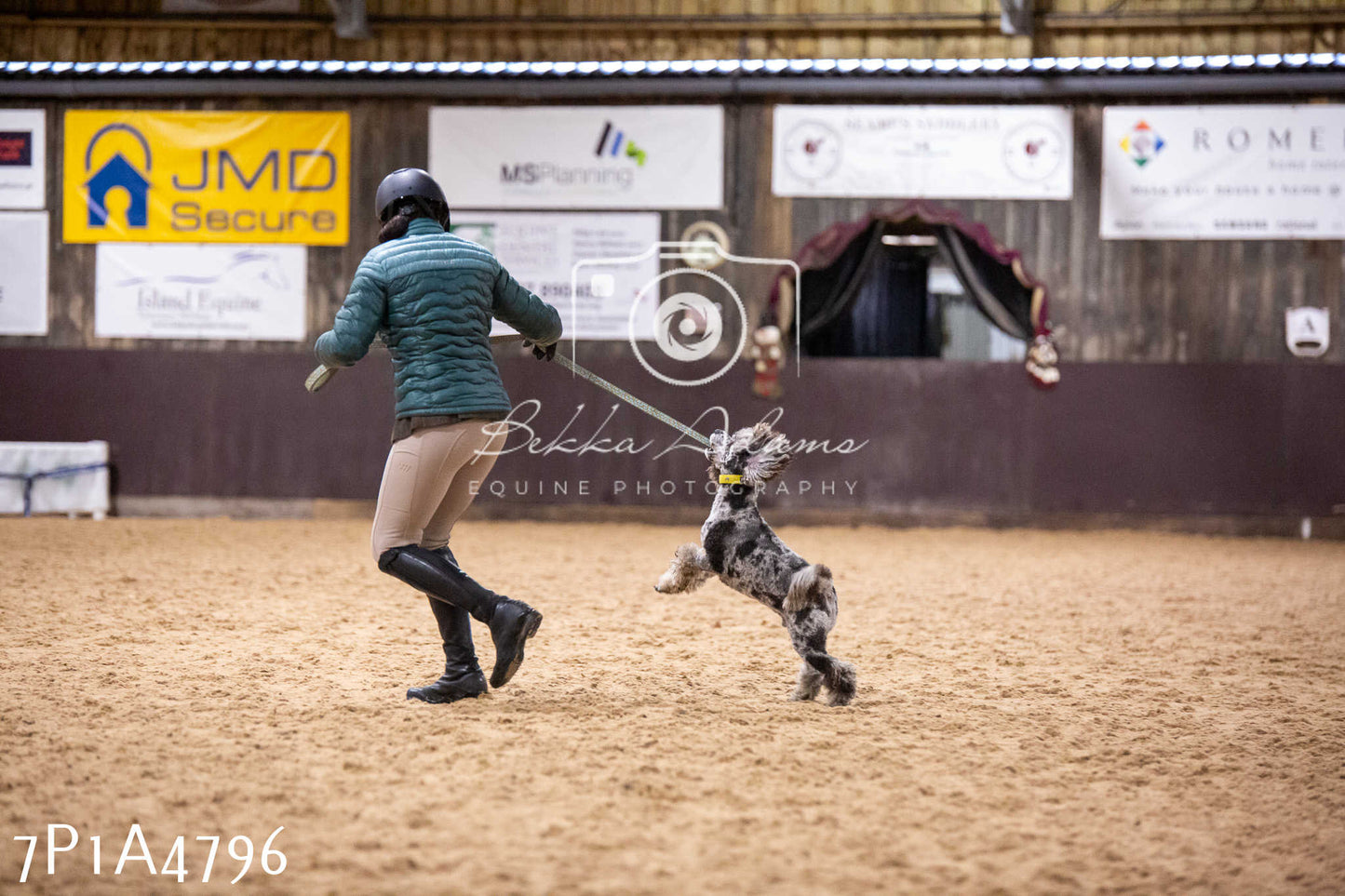 Home Farm Christmas Show 2024 - Ridden