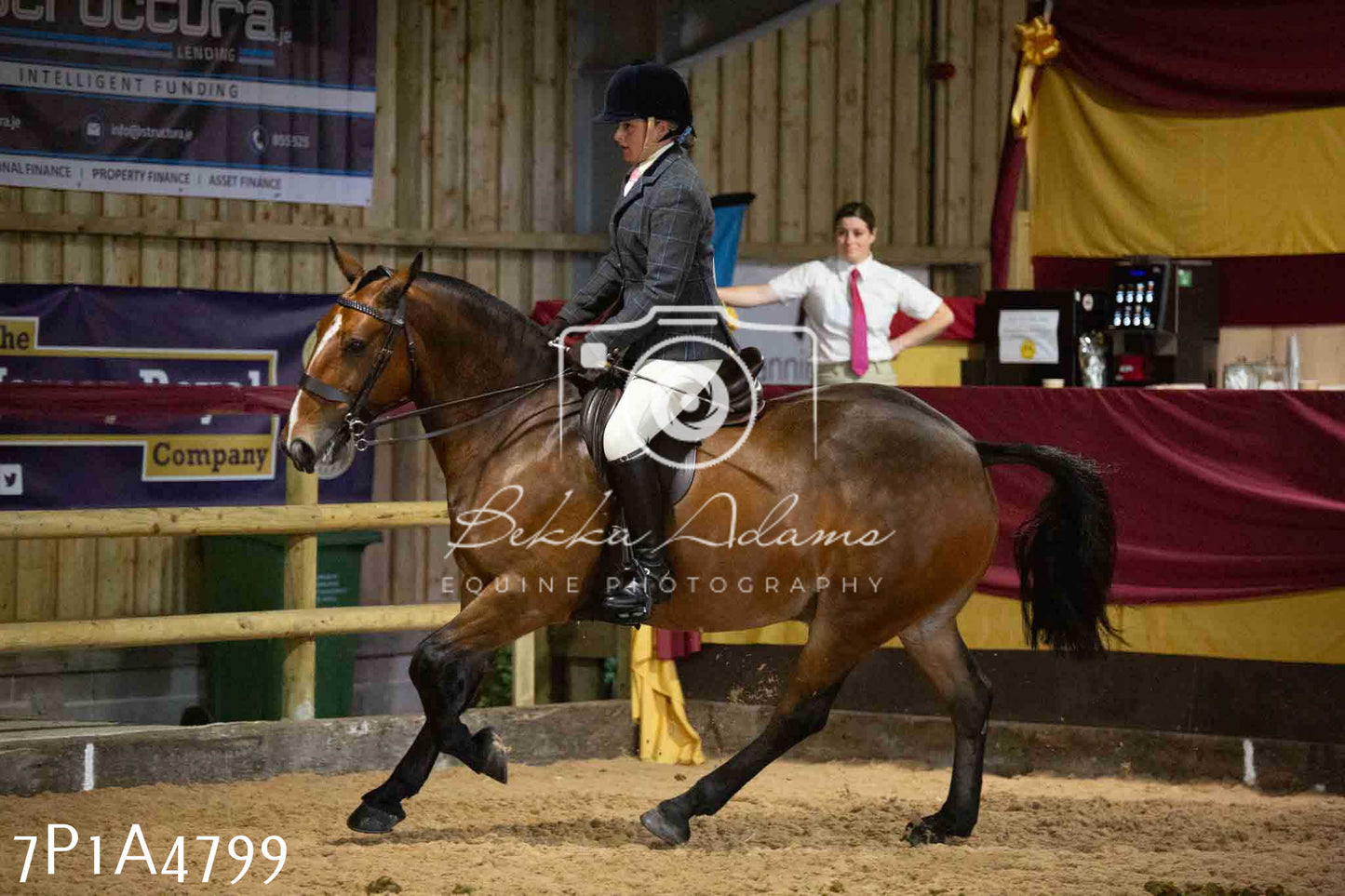 JHOYS 2023 - 10th September - Ridden Showing Pt1