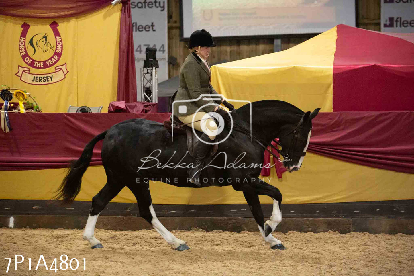 JHOYS 2023 - 10th September - Ridden Showing Pt1