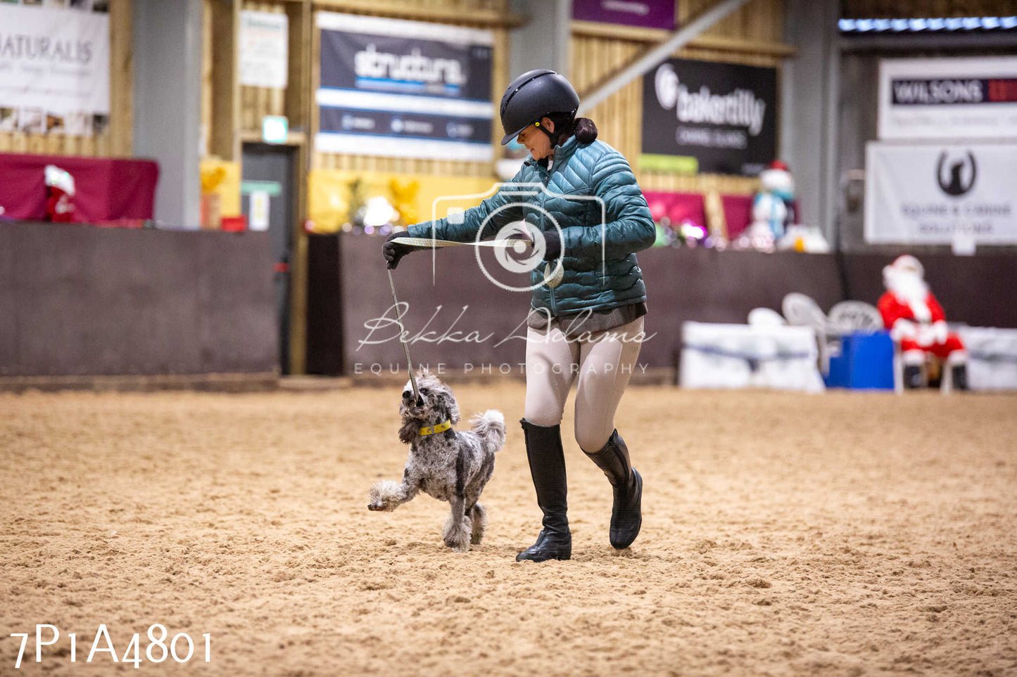 Home Farm Christmas Show 2024 - Ridden