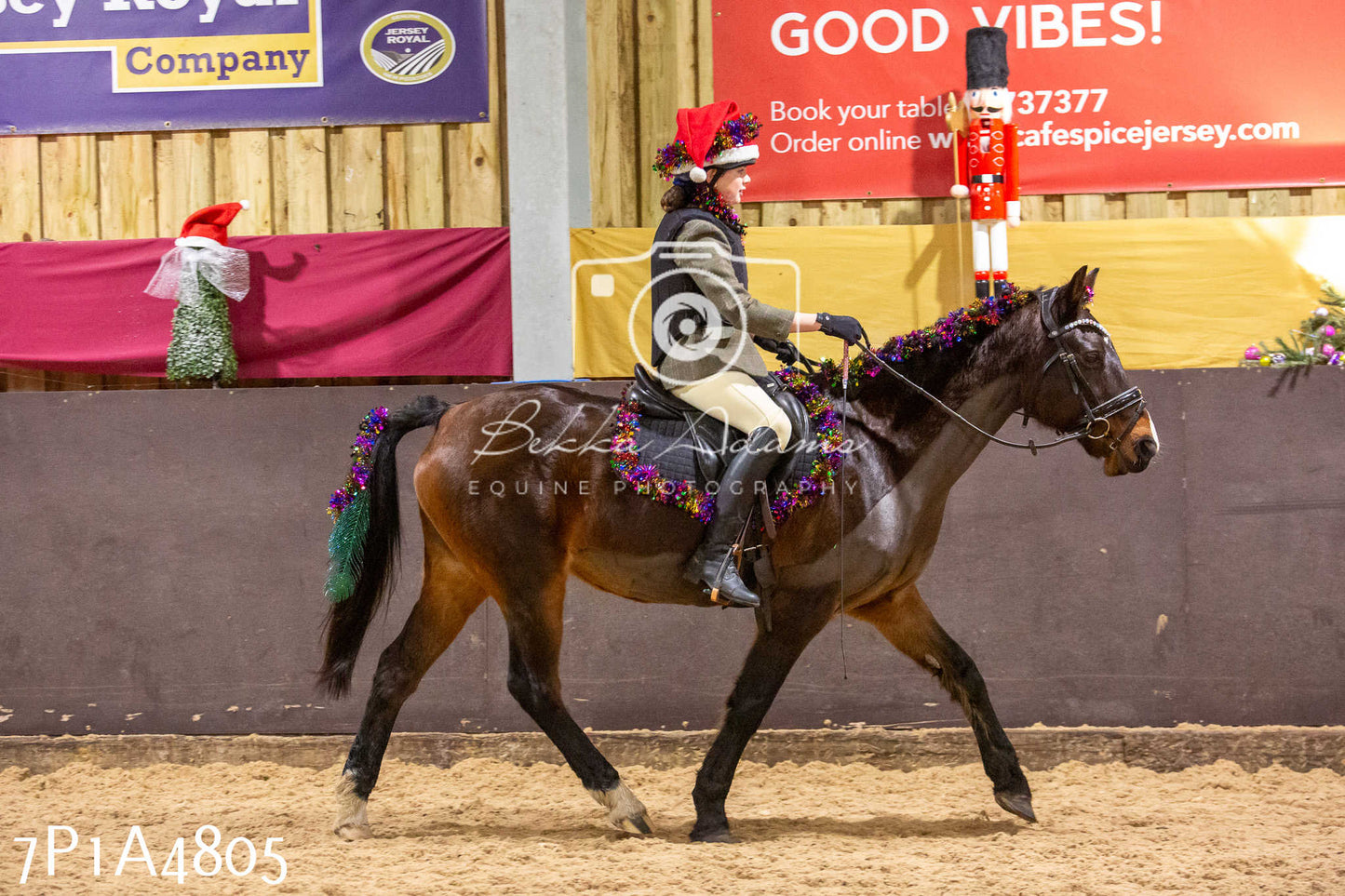 Home Farm Christmas Show 2024 - Ridden