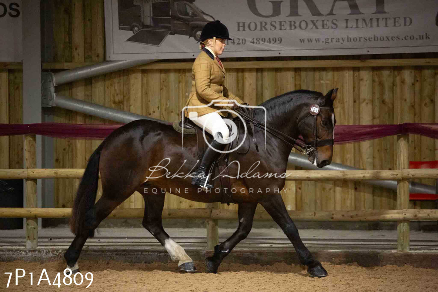 JHOYS 2023 - 10th September - Ridden Showing Pt1