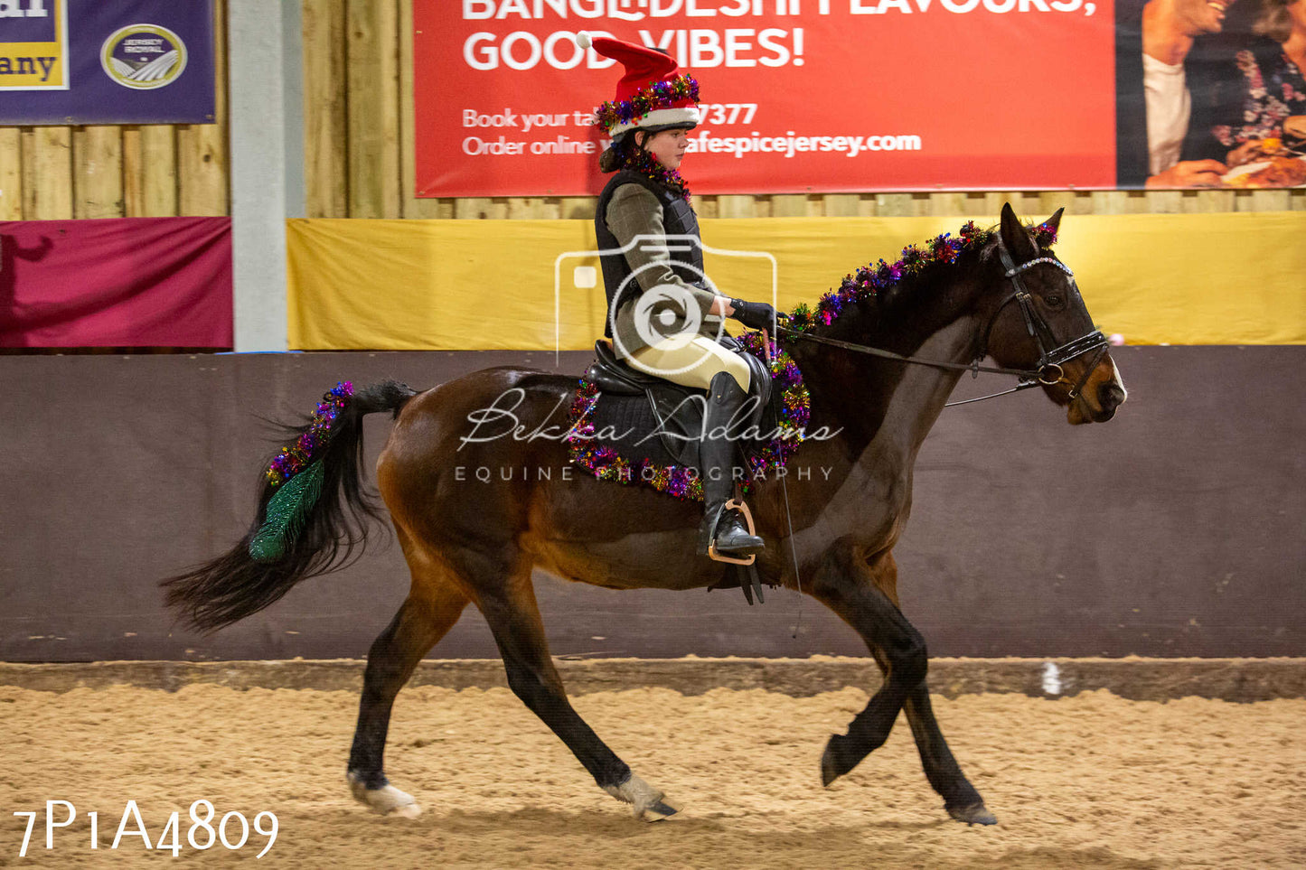 Home Farm Christmas Show 2024 - Ridden