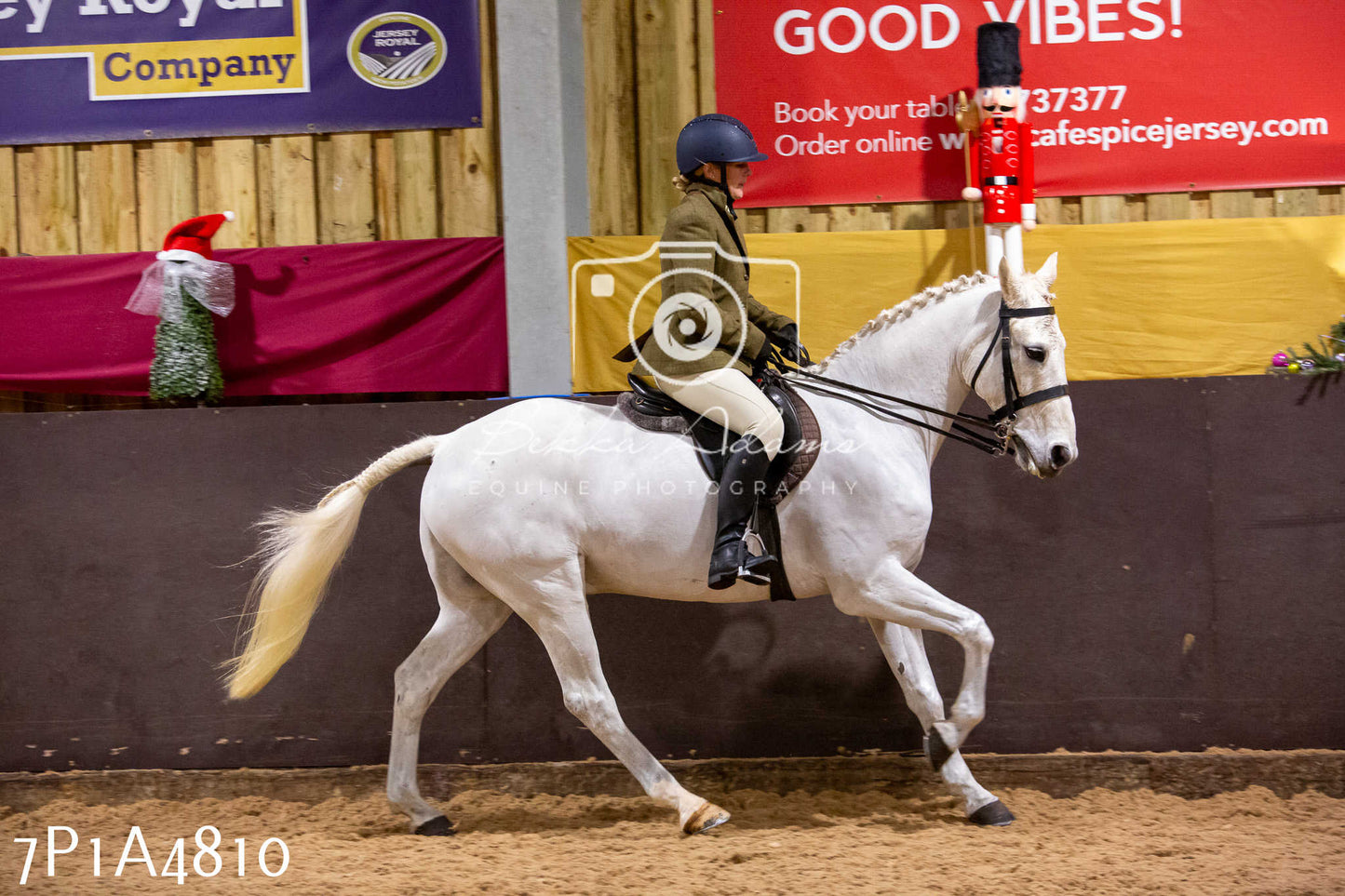 Home Farm Christmas Show 2024 - Ridden