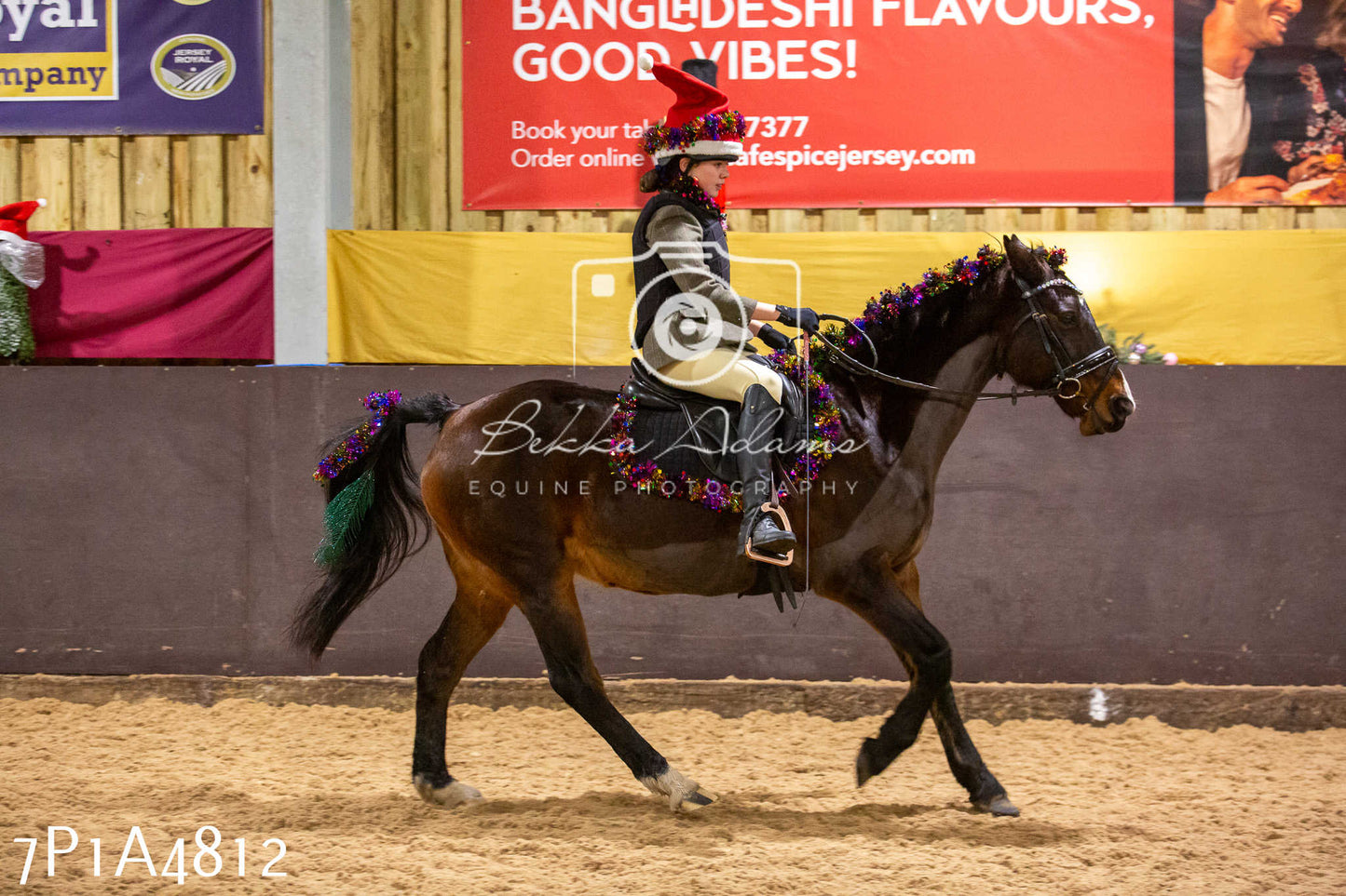 Home Farm Christmas Show 2024 - Ridden