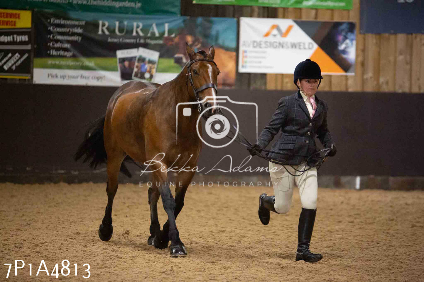 JHOYS 2023 - 10th September - Ridden Showing Pt1
