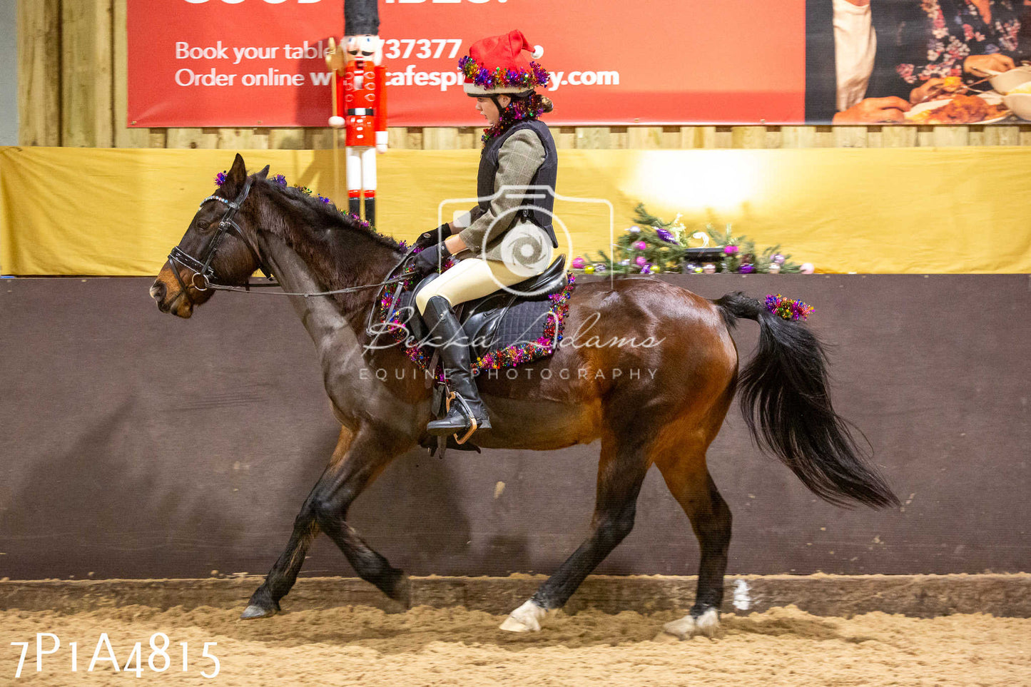 Home Farm Christmas Show 2024 - Ridden