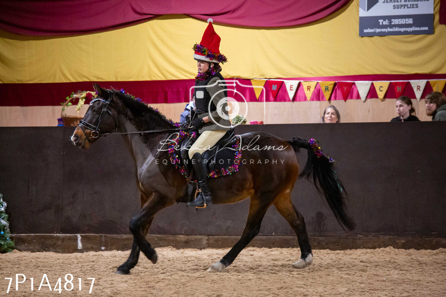 Home Farm Christmas Show 2024 - Ridden