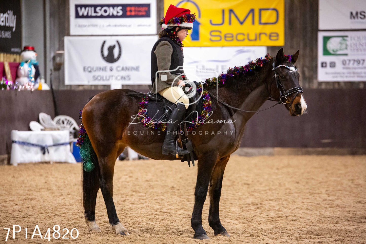 Home Farm Christmas Show 2024 - Ridden