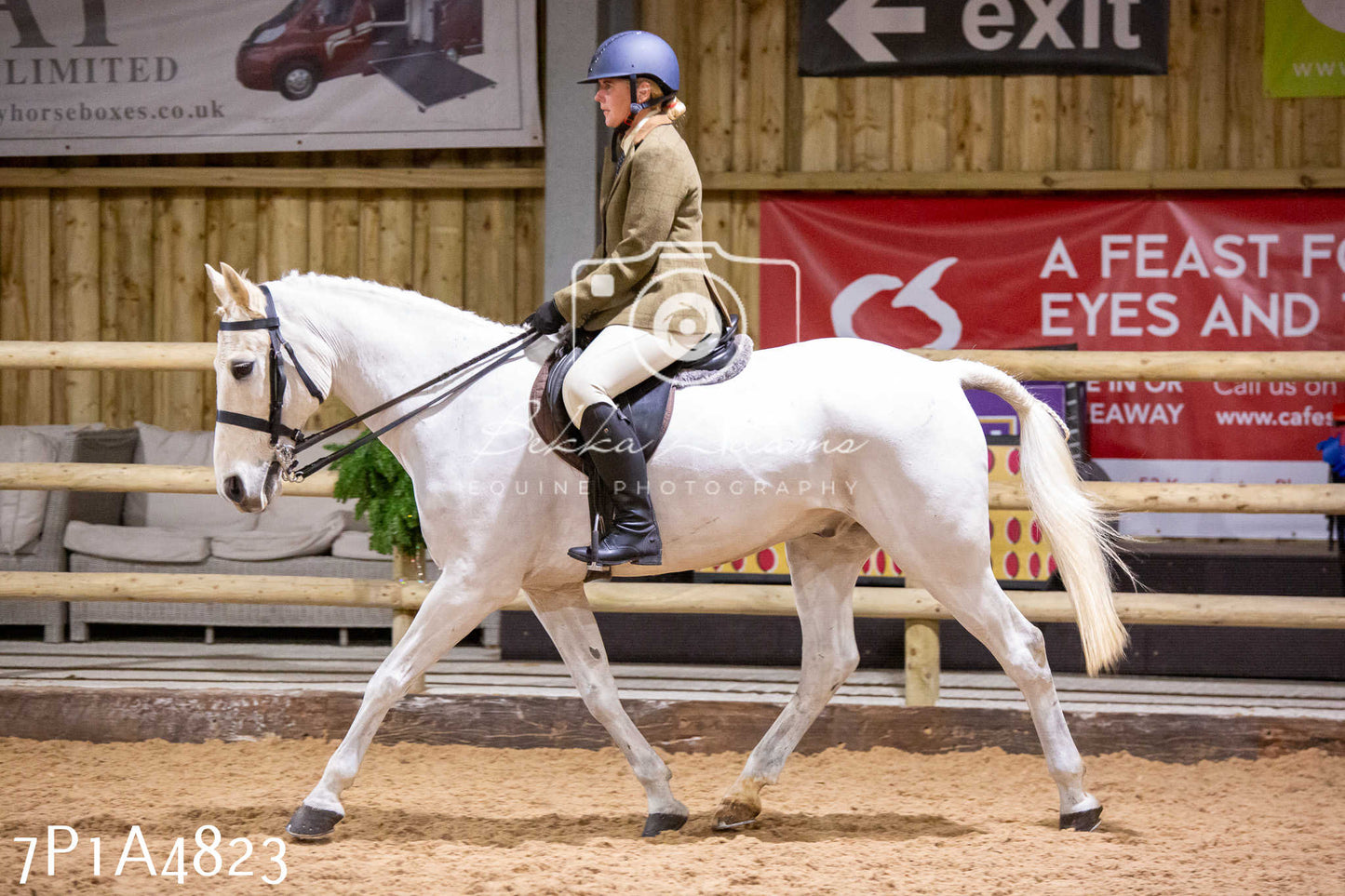 Home Farm Christmas Show 2024 - Ridden