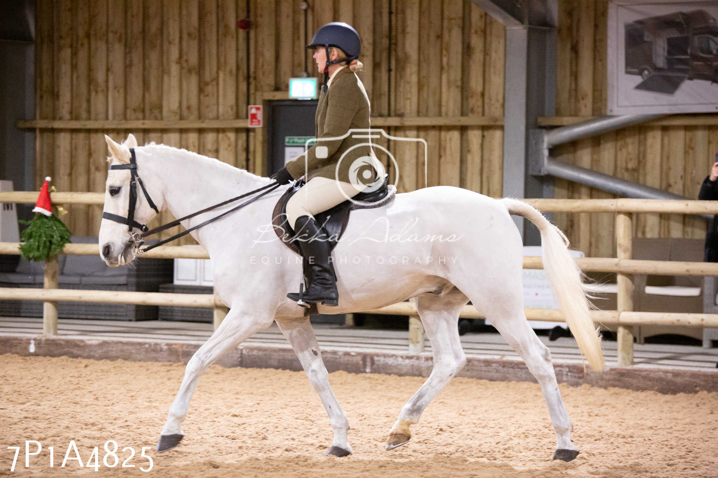 Home Farm Christmas Show 2024 - Ridden