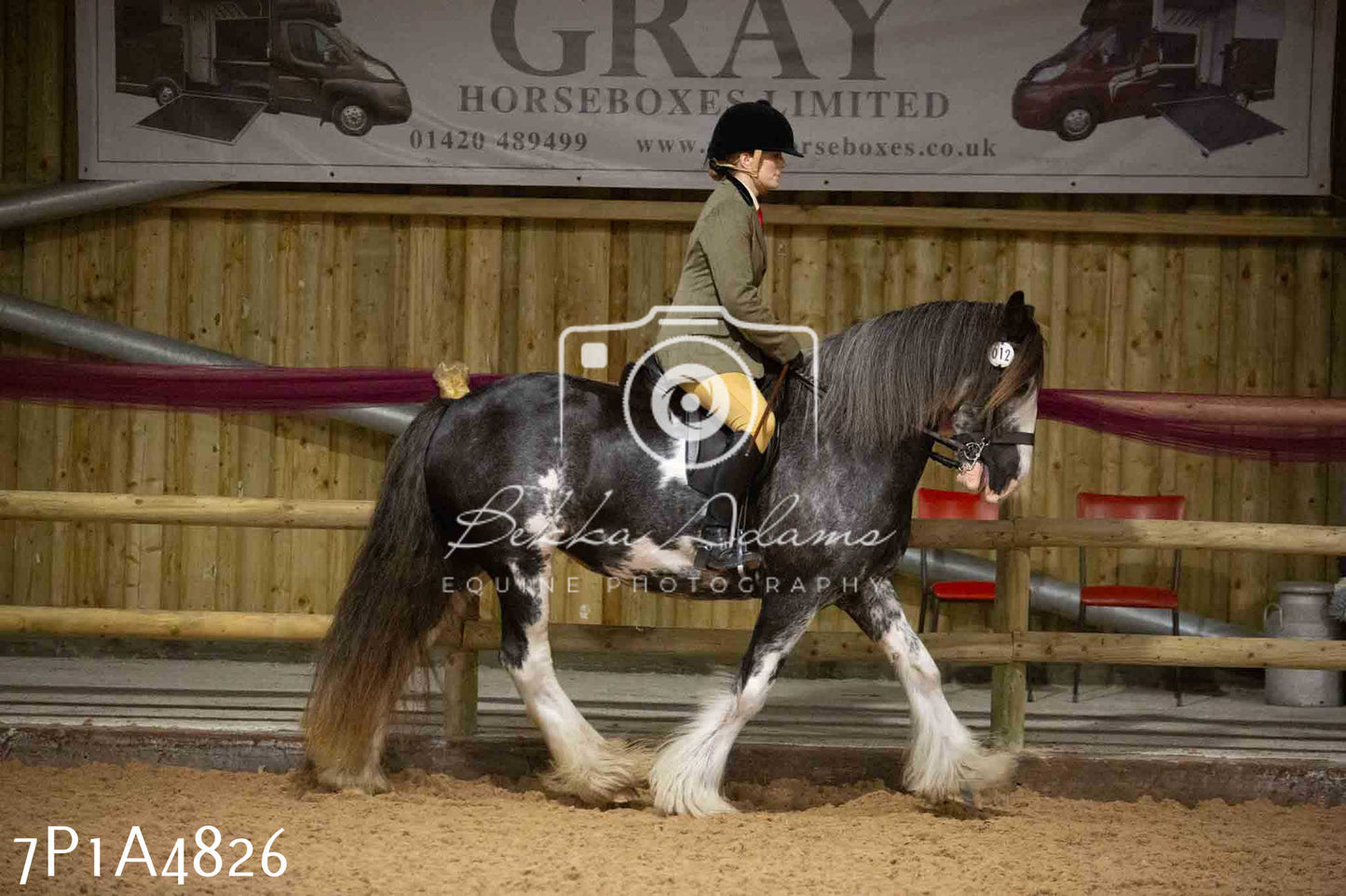 JHOYS 2023 - 10th September - Ridden Showing Pt1