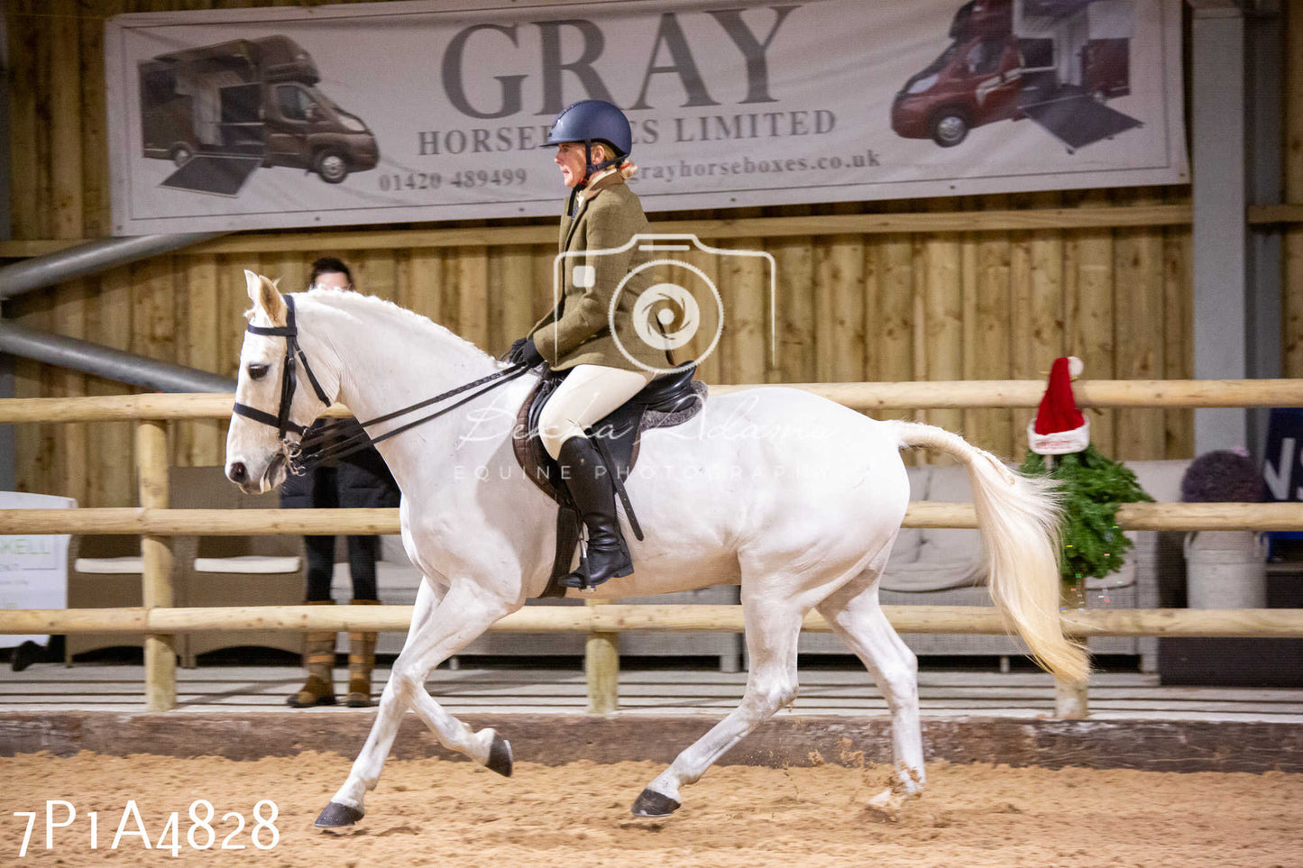 Home Farm Christmas Show 2024 - Ridden