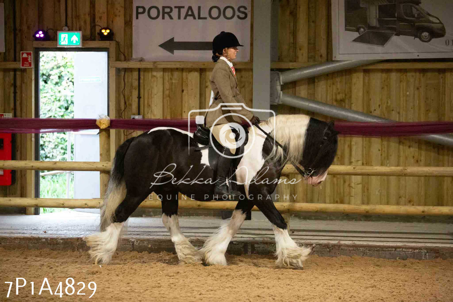 JHOYS 2023 - 10th September - Ridden Showing Pt1