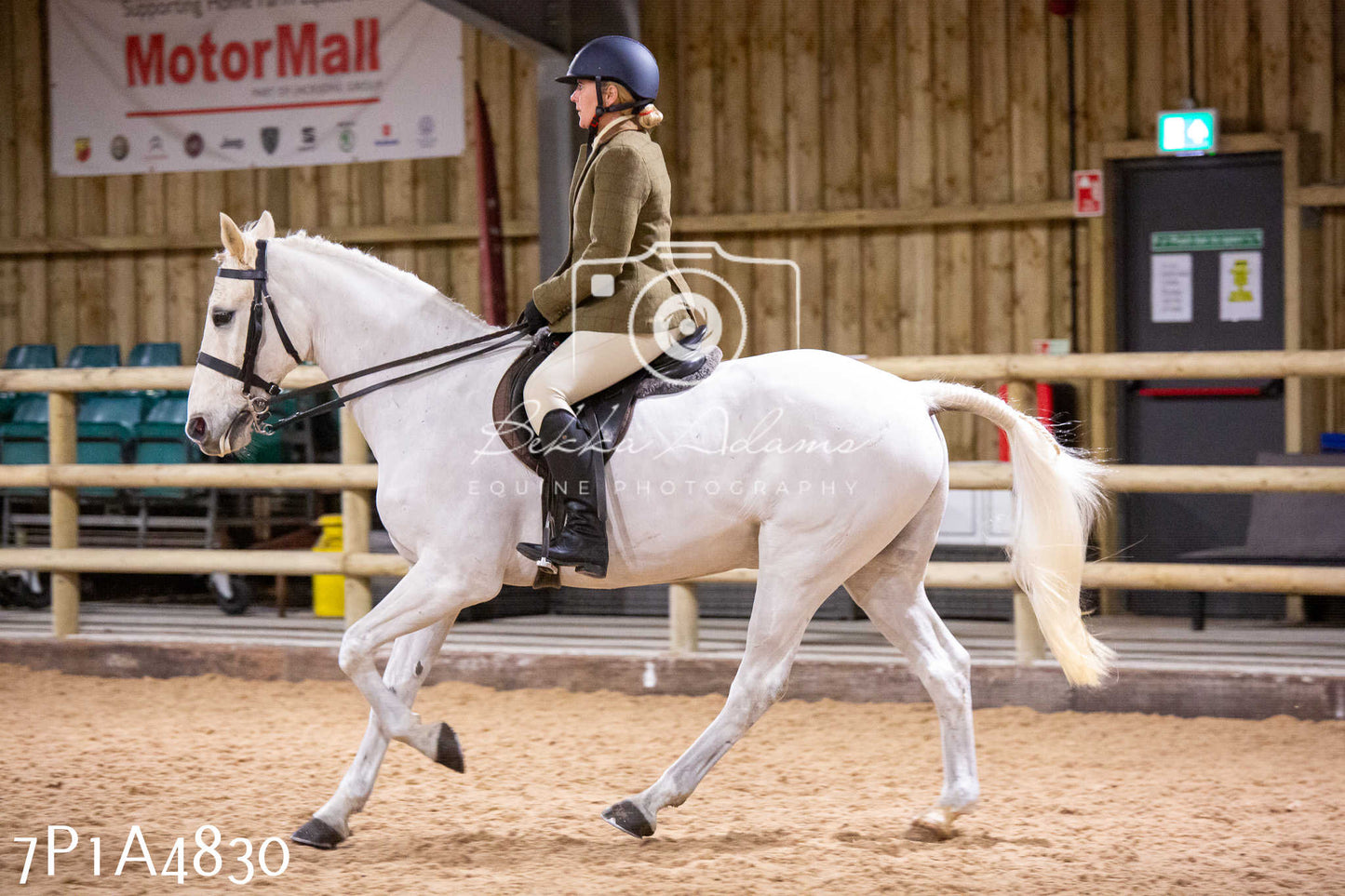 Home Farm Christmas Show 2024 - Ridden