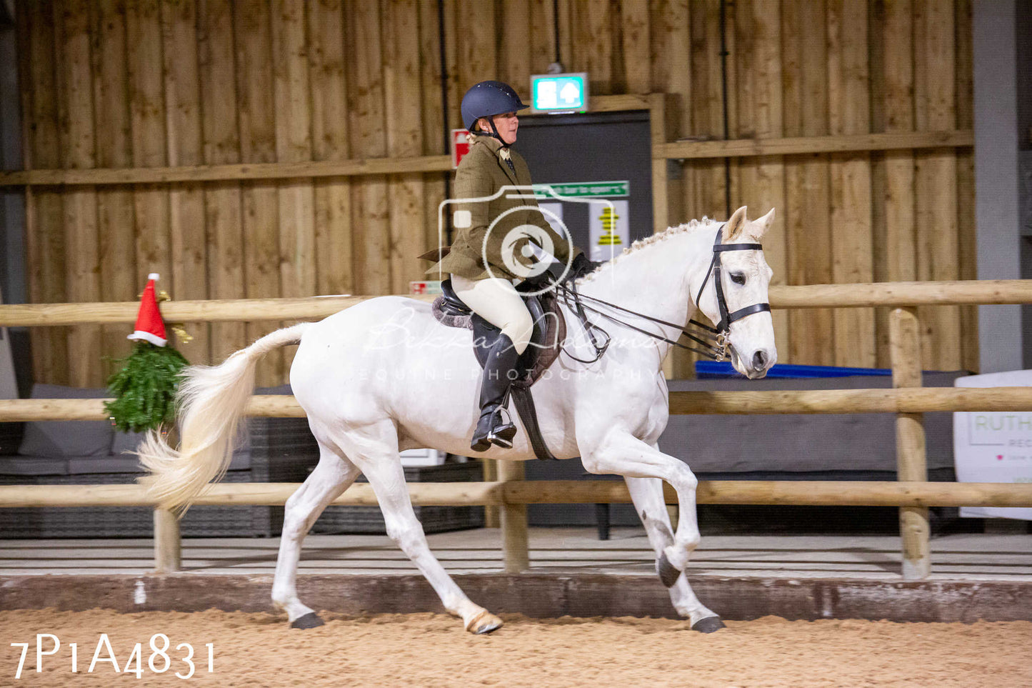 Home Farm Christmas Show 2024 - Ridden