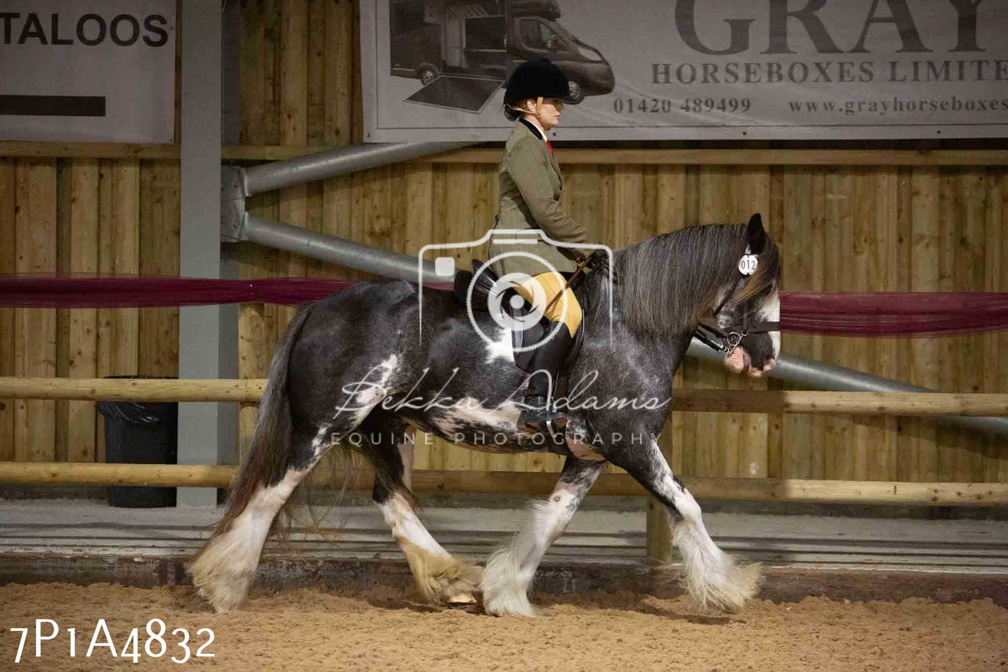 JHOYS 2023 - 10th September - Ridden Showing Pt1