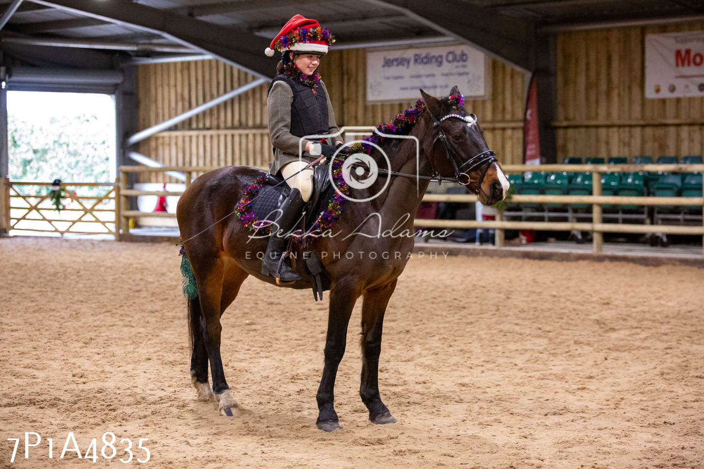 Home Farm Christmas Show 2024 - Ridden