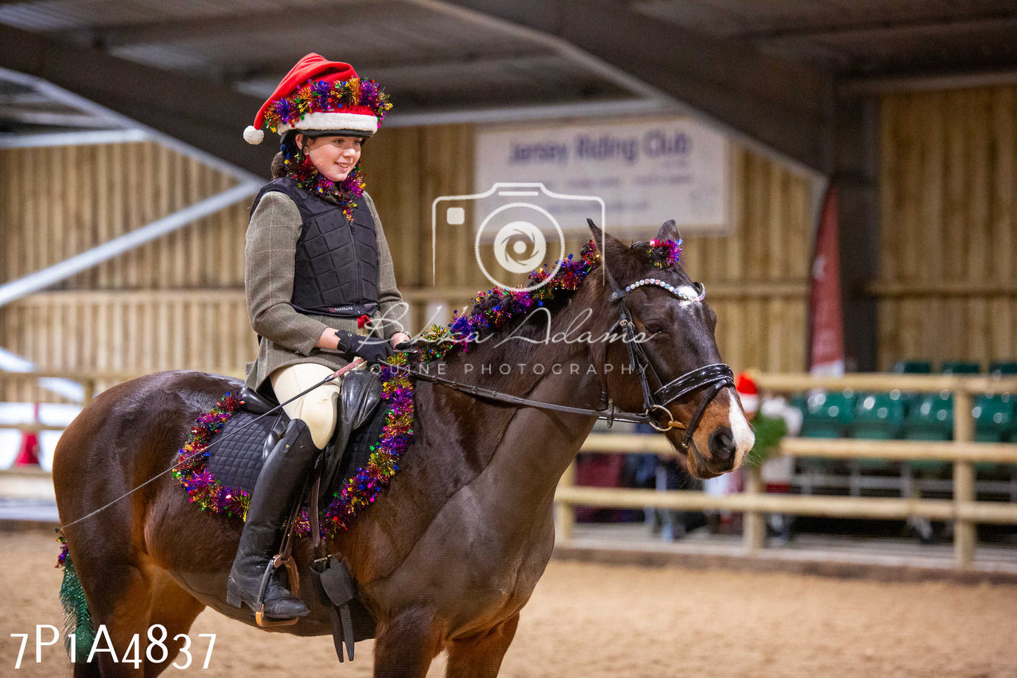 Home Farm Christmas Show 2024 - Ridden