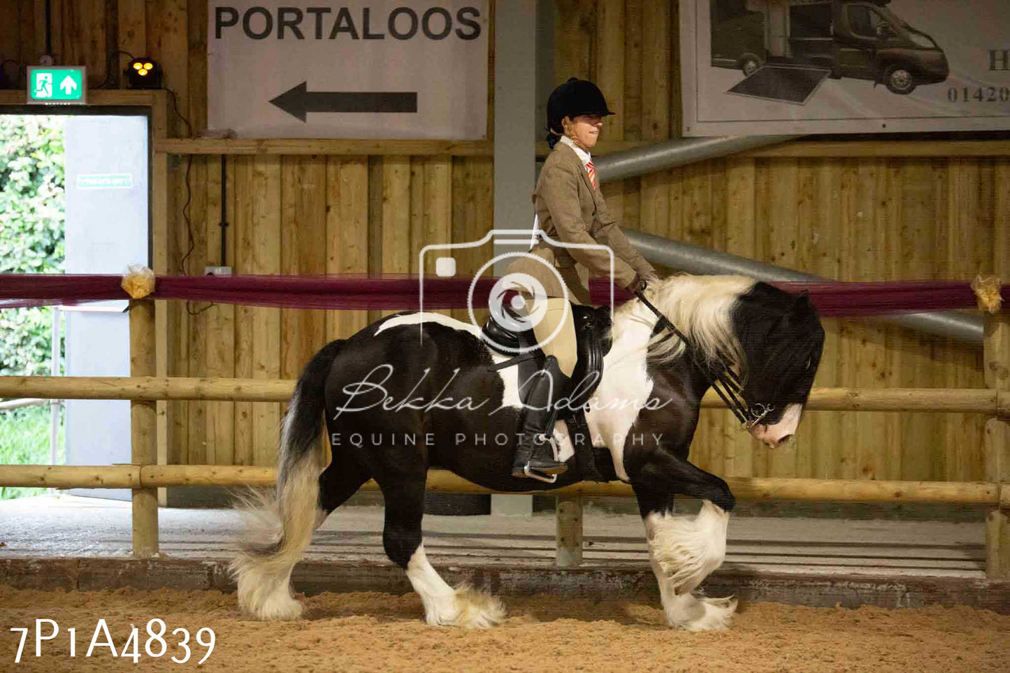 JHOYS 2023 - 10th September - Ridden Showing Pt1