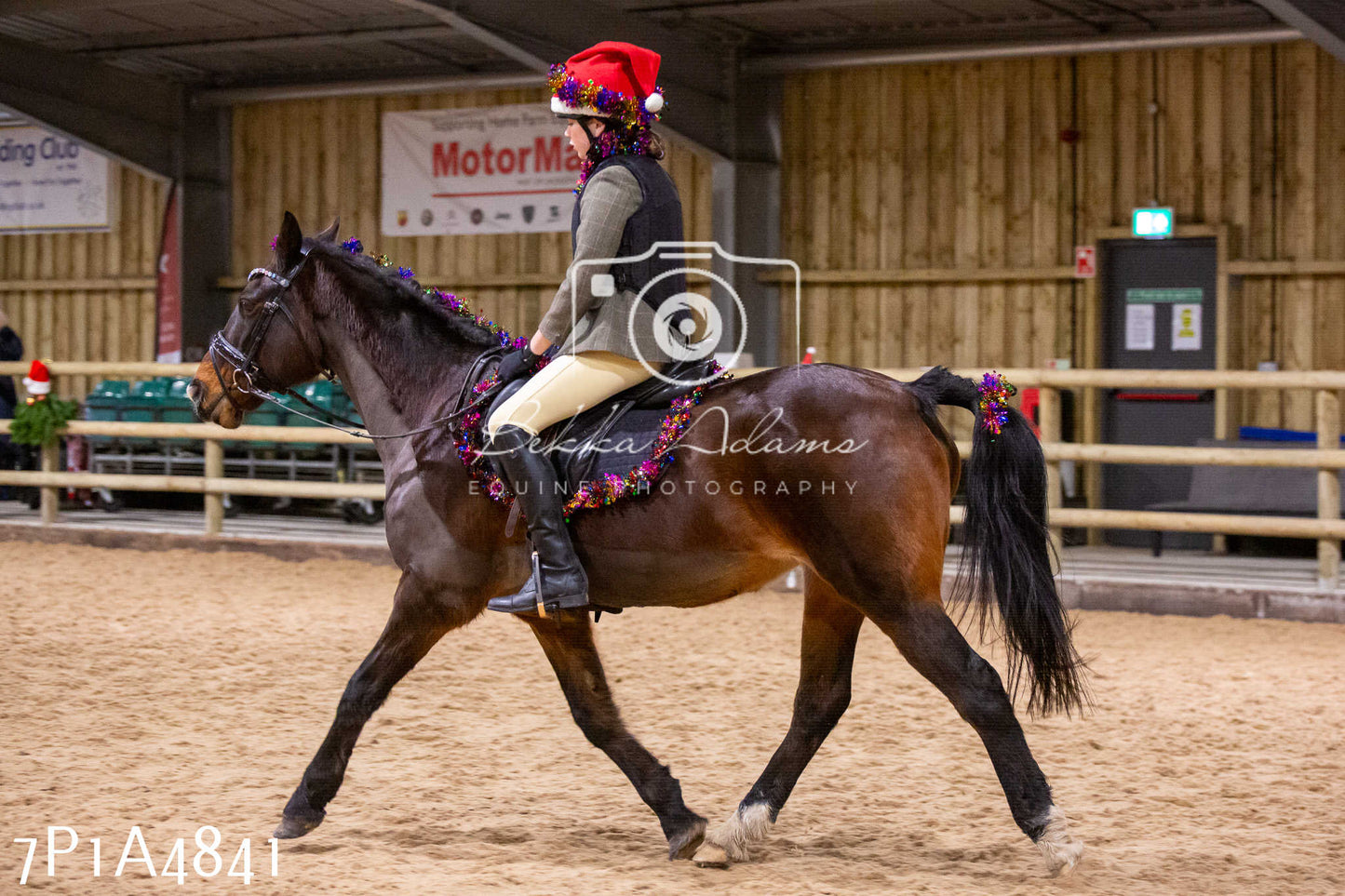 Home Farm Christmas Show 2024 - Ridden