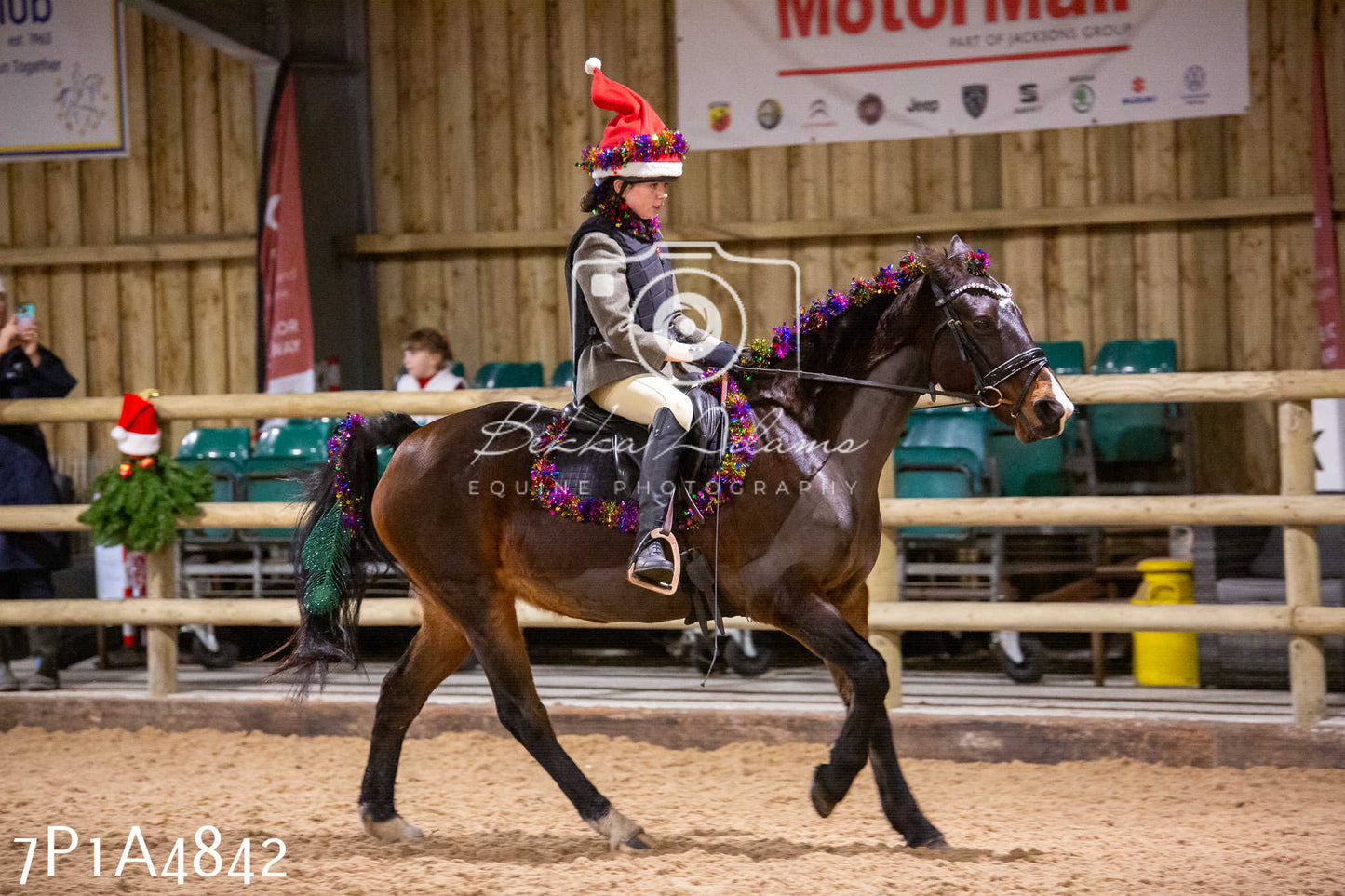 Home Farm Christmas Show 2024 - Ridden