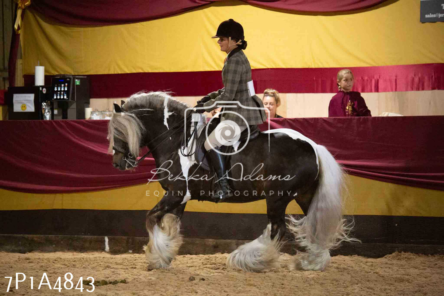 JHOYS 2023 - 10th September - Ridden Showing Pt1