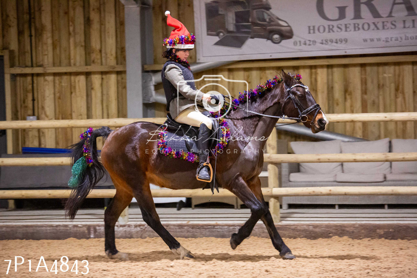 Home Farm Christmas Show 2024 - Ridden