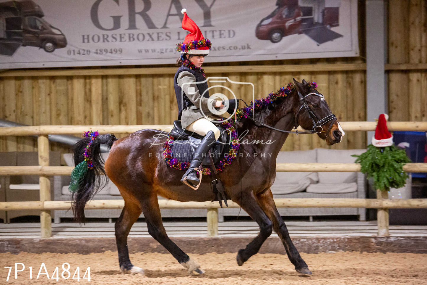 Home Farm Christmas Show 2024 - Ridden
