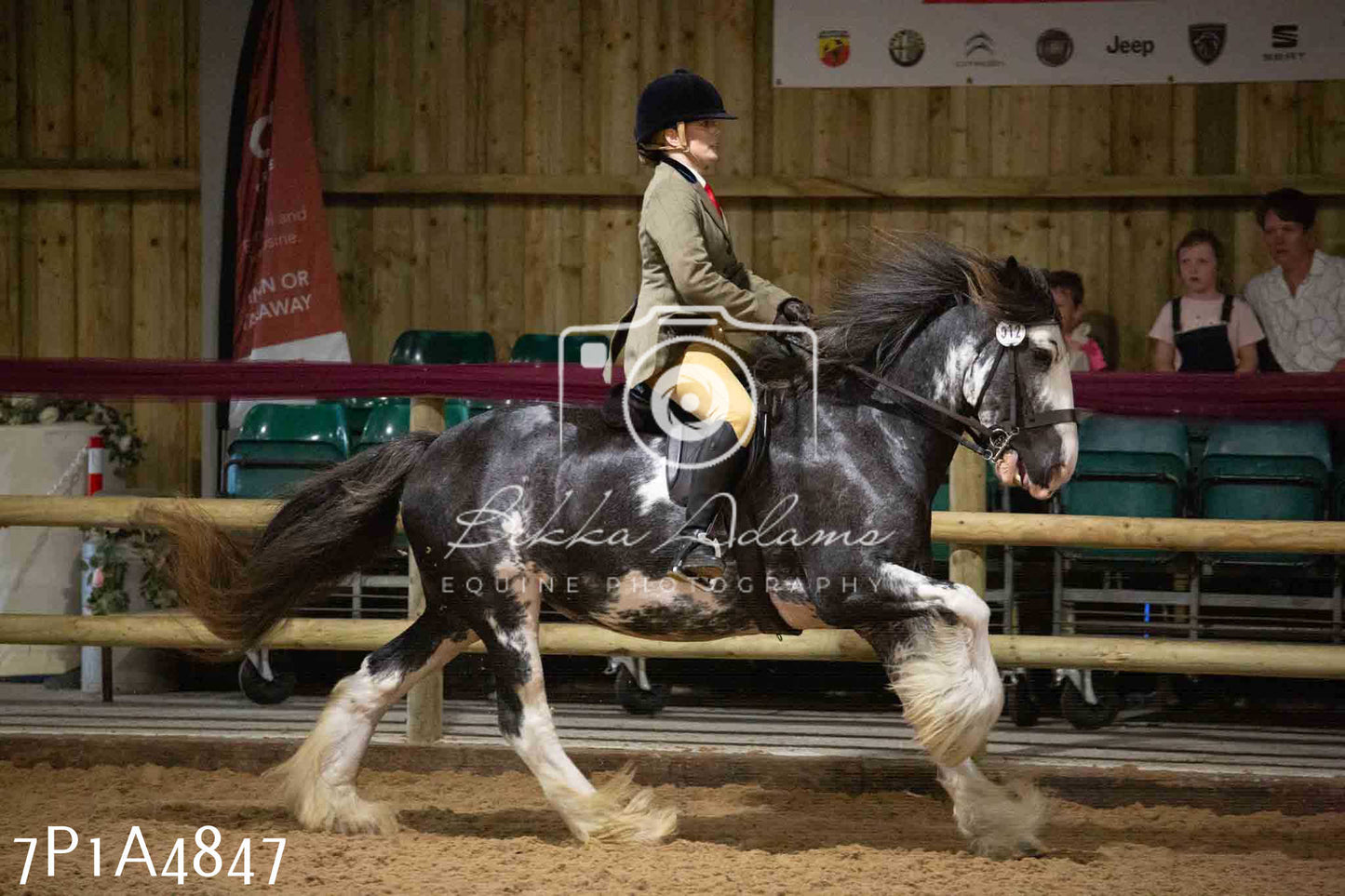 JHOYS 2023 - 10th September - Ridden Showing Pt1