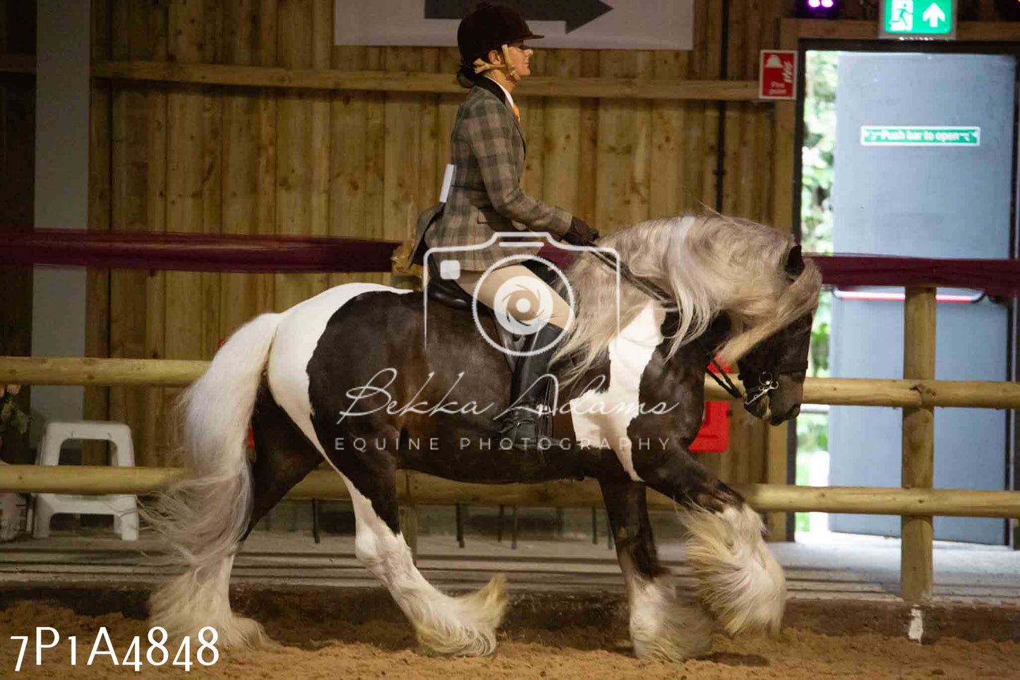 JHOYS 2023 - 10th September - Ridden Showing Pt1