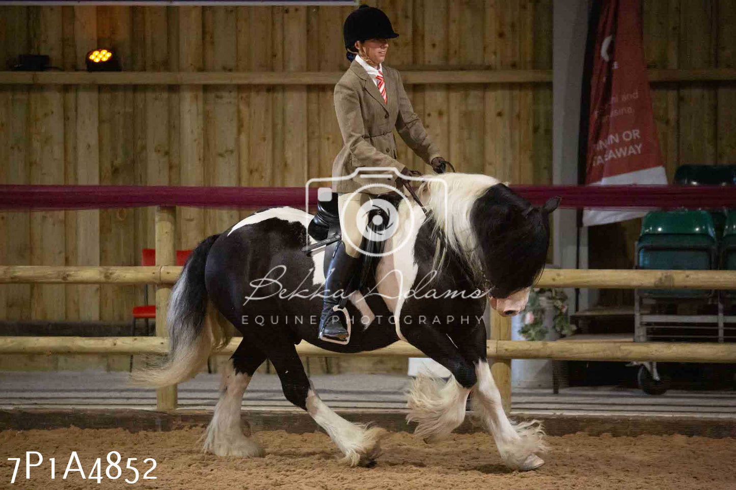 JHOYS 2023 - 10th September - Ridden Showing Pt1