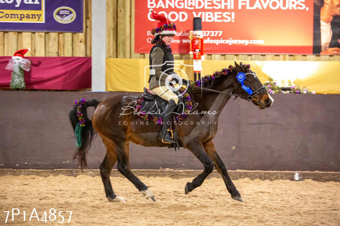 Home Farm Christmas Show 2024 - Ridden