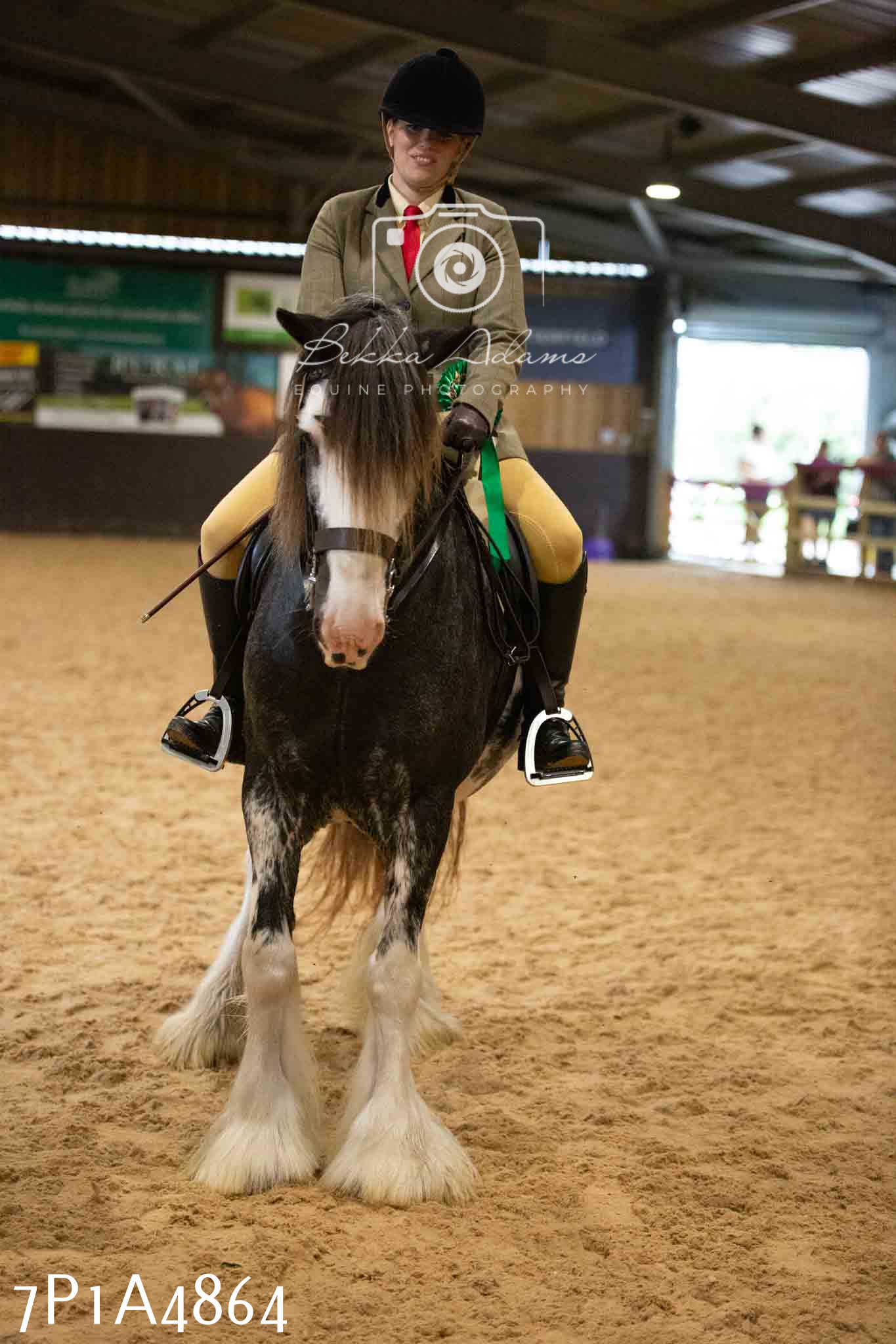 JHOYS 2023 - 10th September - Ridden Showing Pt1