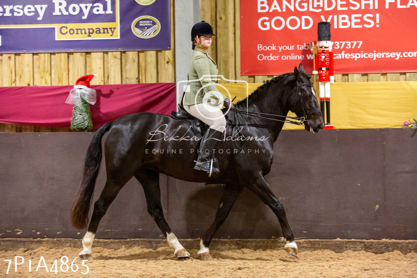 Home Farm Christmas Show 2024 - Ridden