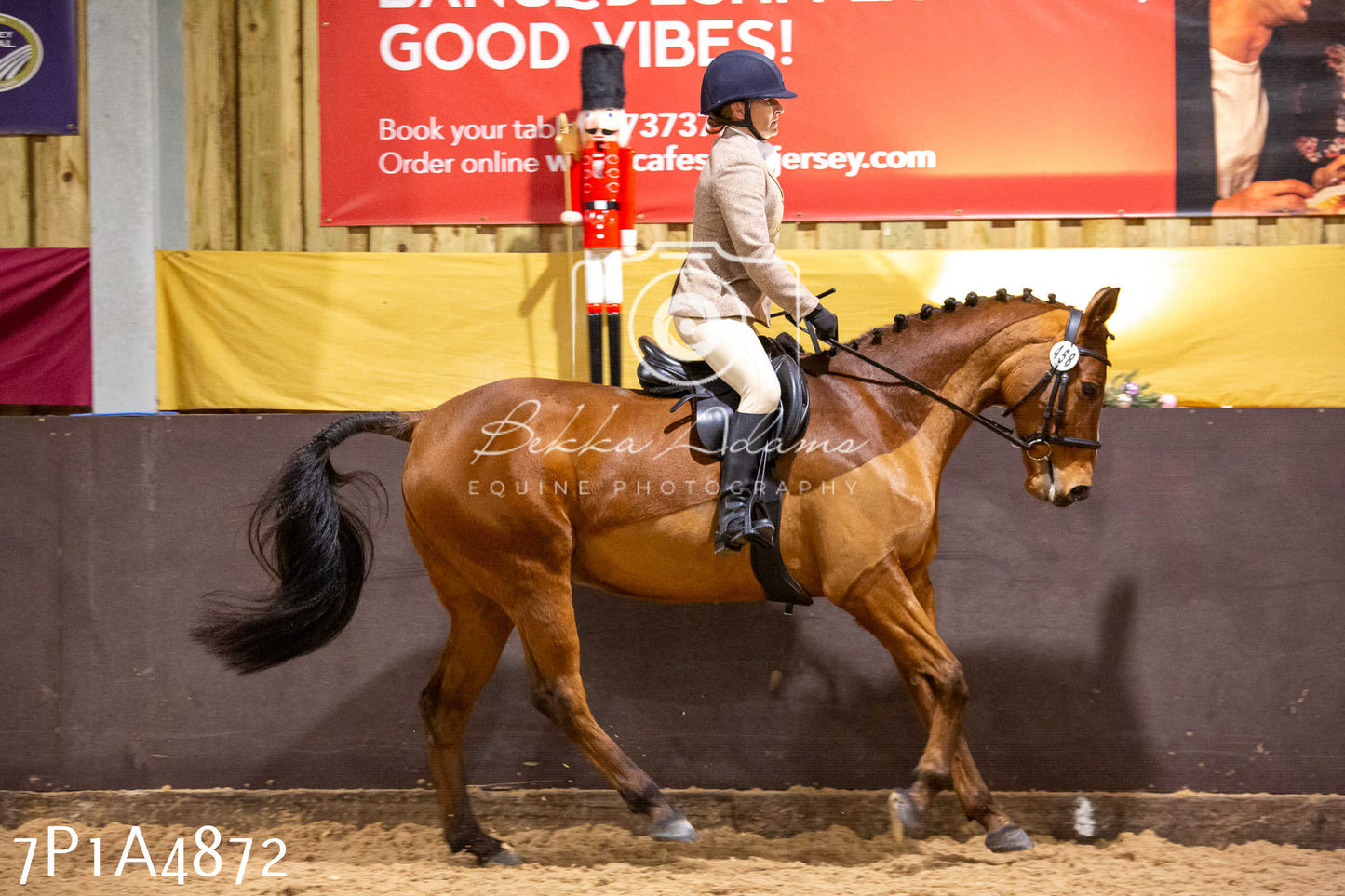 Home Farm Christmas Show 2024 - Ridden