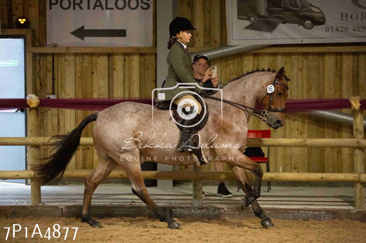 JHOYS 2023 - 10th September - Ridden Showing Pt1