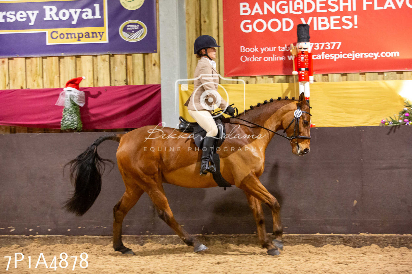 Home Farm Christmas Show 2024 - Ridden