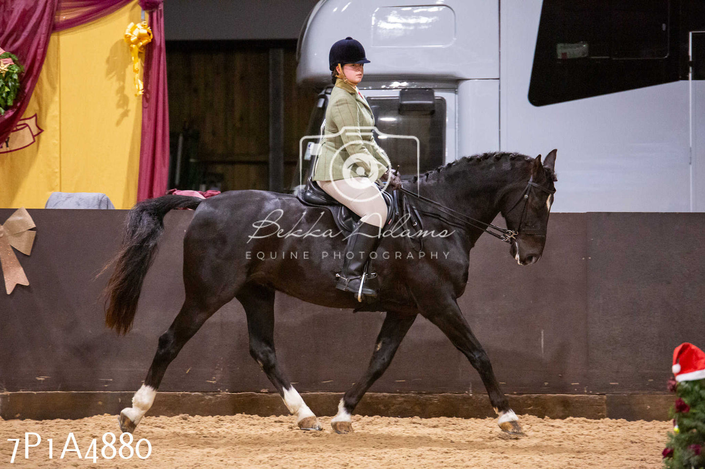 Home Farm Christmas Show 2024 - Ridden