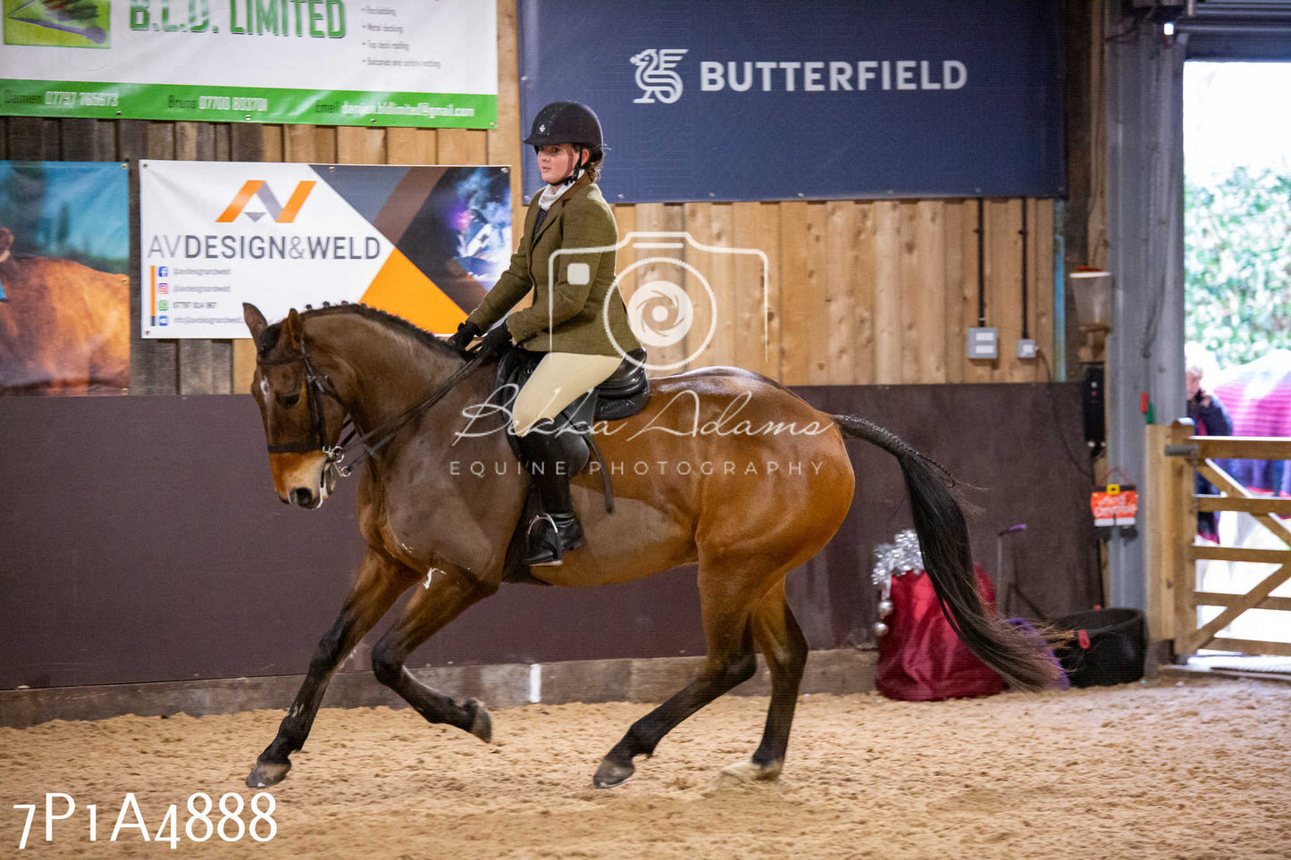 Home Farm Christmas Show 2024 - Ridden