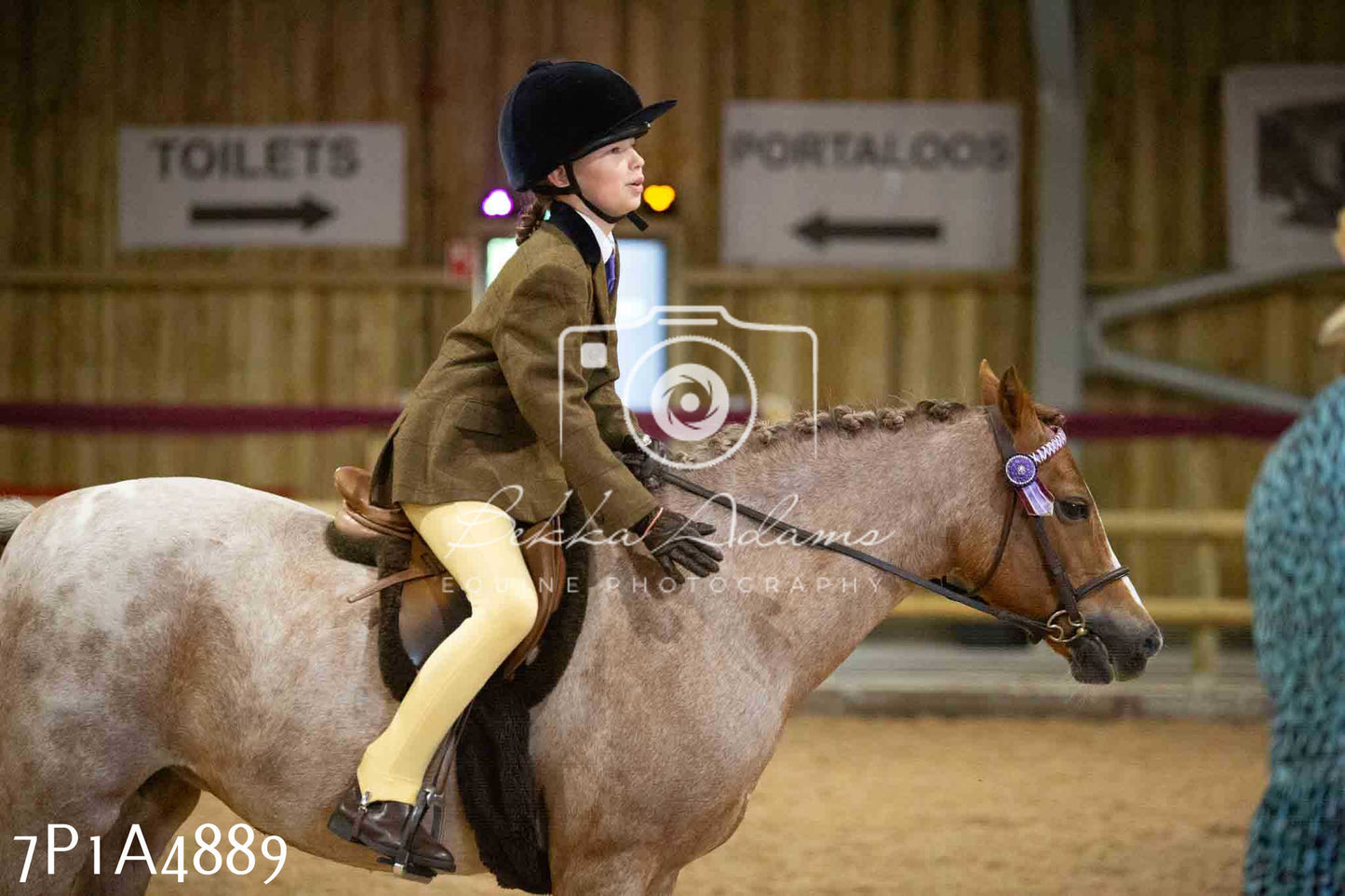 JHOYS 2023 - 10th September - Ridden Showing Pt1
