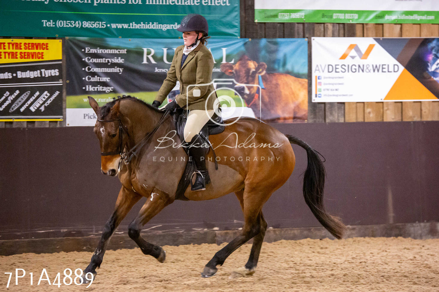 Home Farm Christmas Show 2024 - Ridden