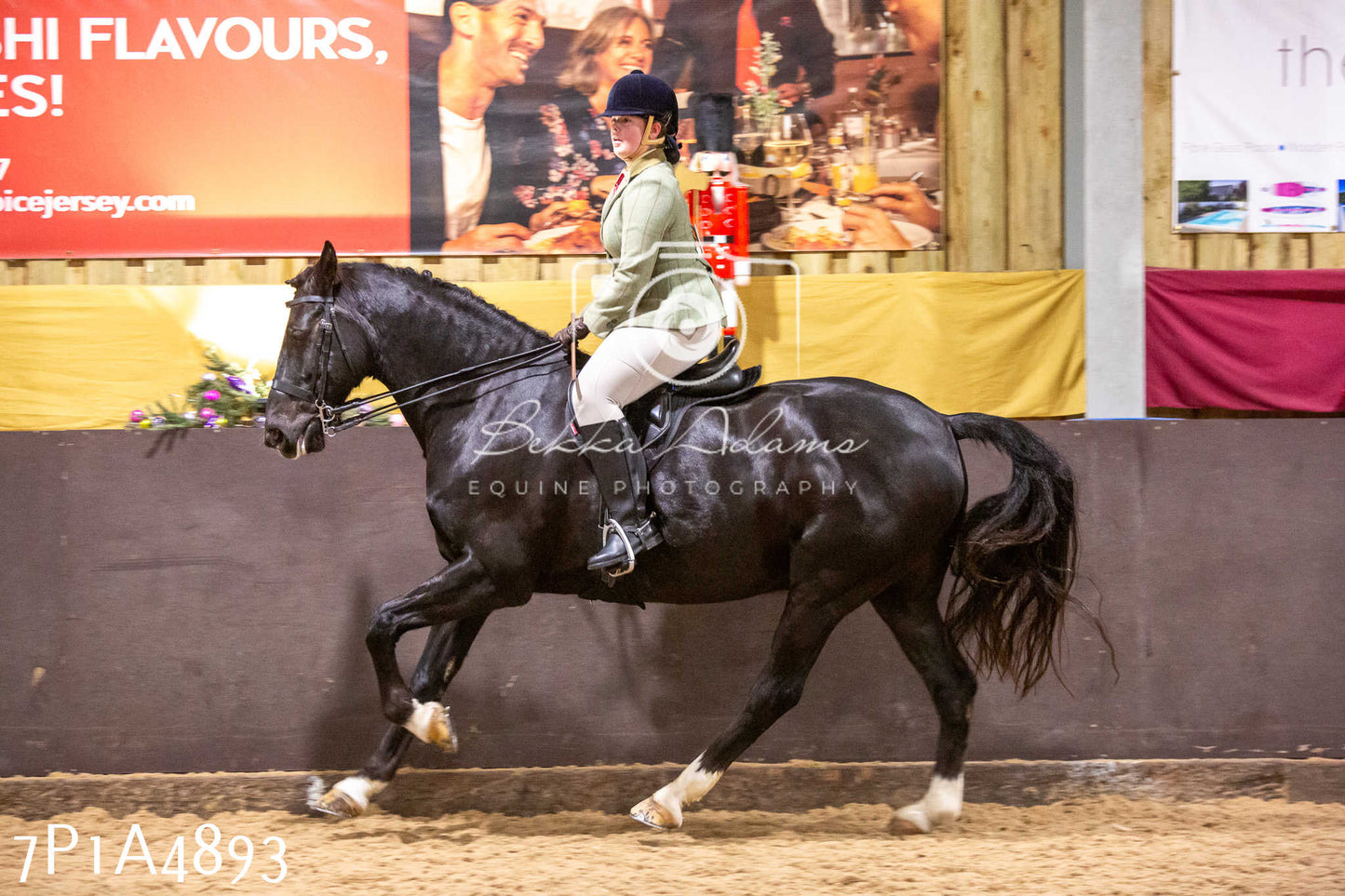 Home Farm Christmas Show 2024 - Ridden