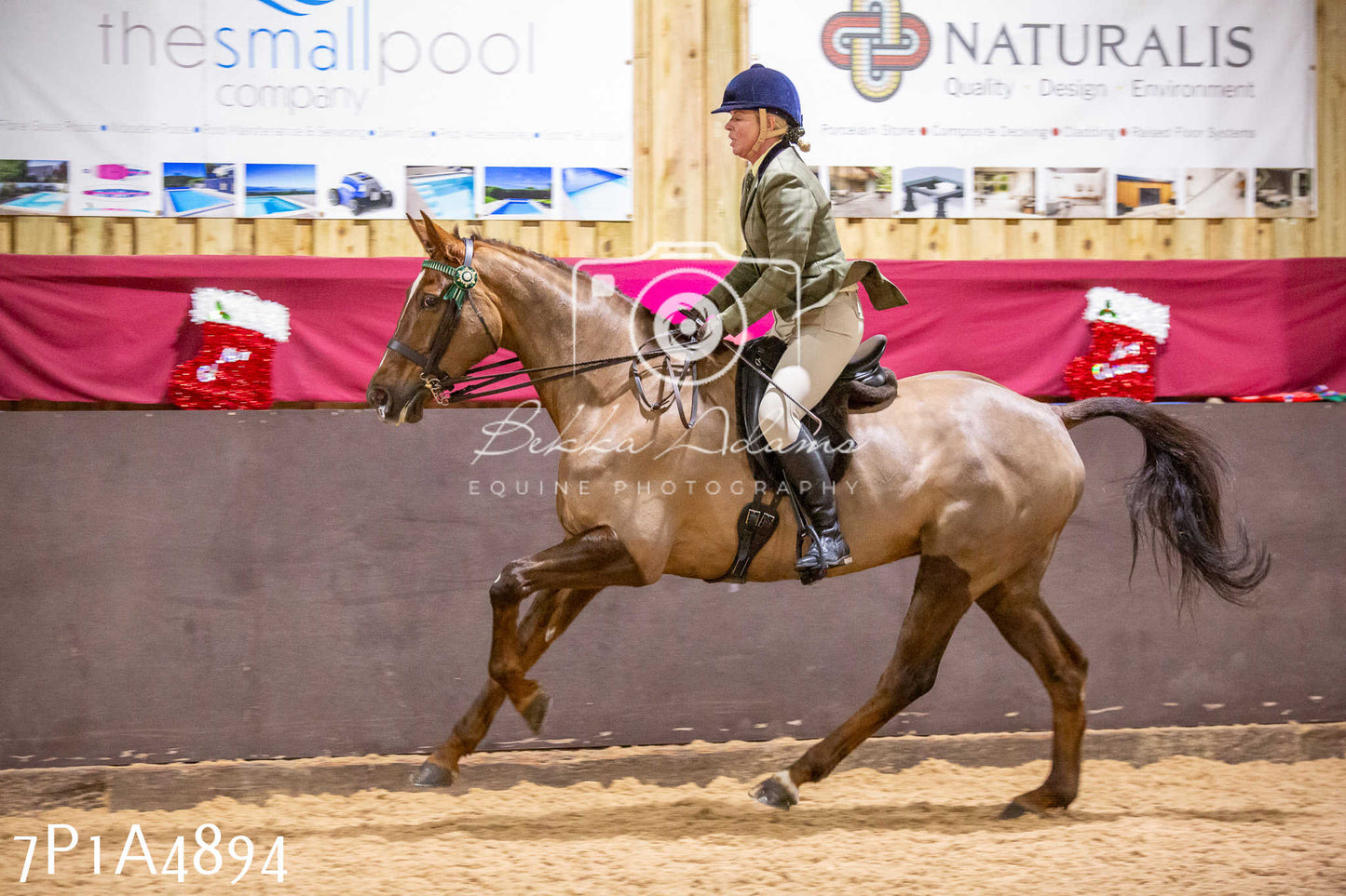 Home Farm Christmas Show 2024 - Ridden