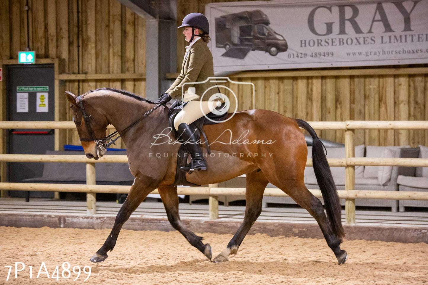 Home Farm Christmas Show 2024 - Ridden