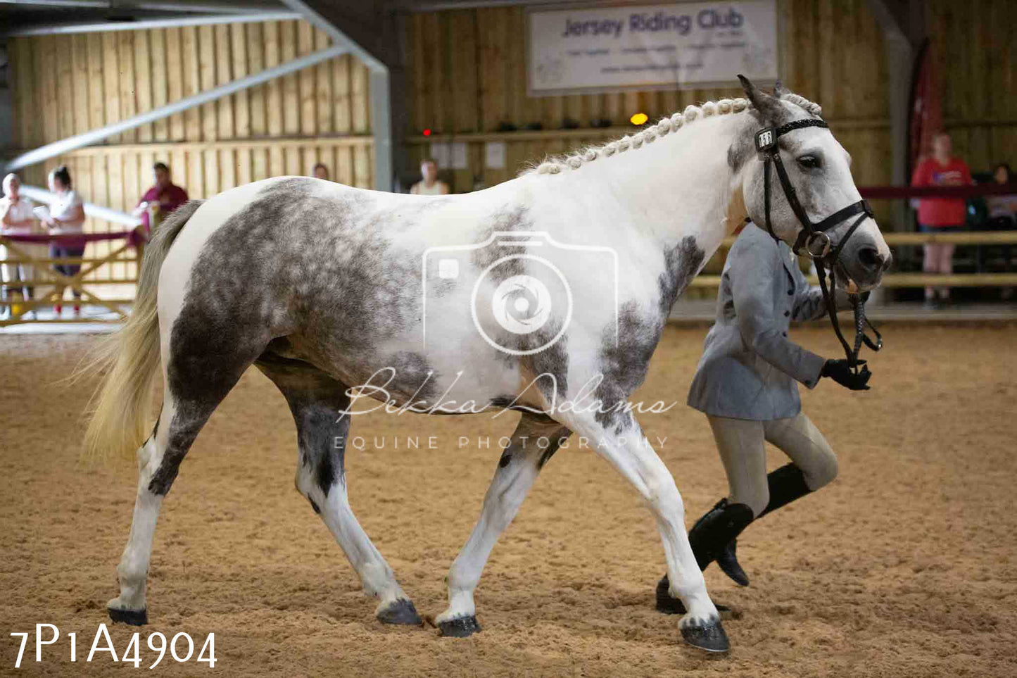 JHOYS 2023 - 10th September - Ridden Showing Pt1