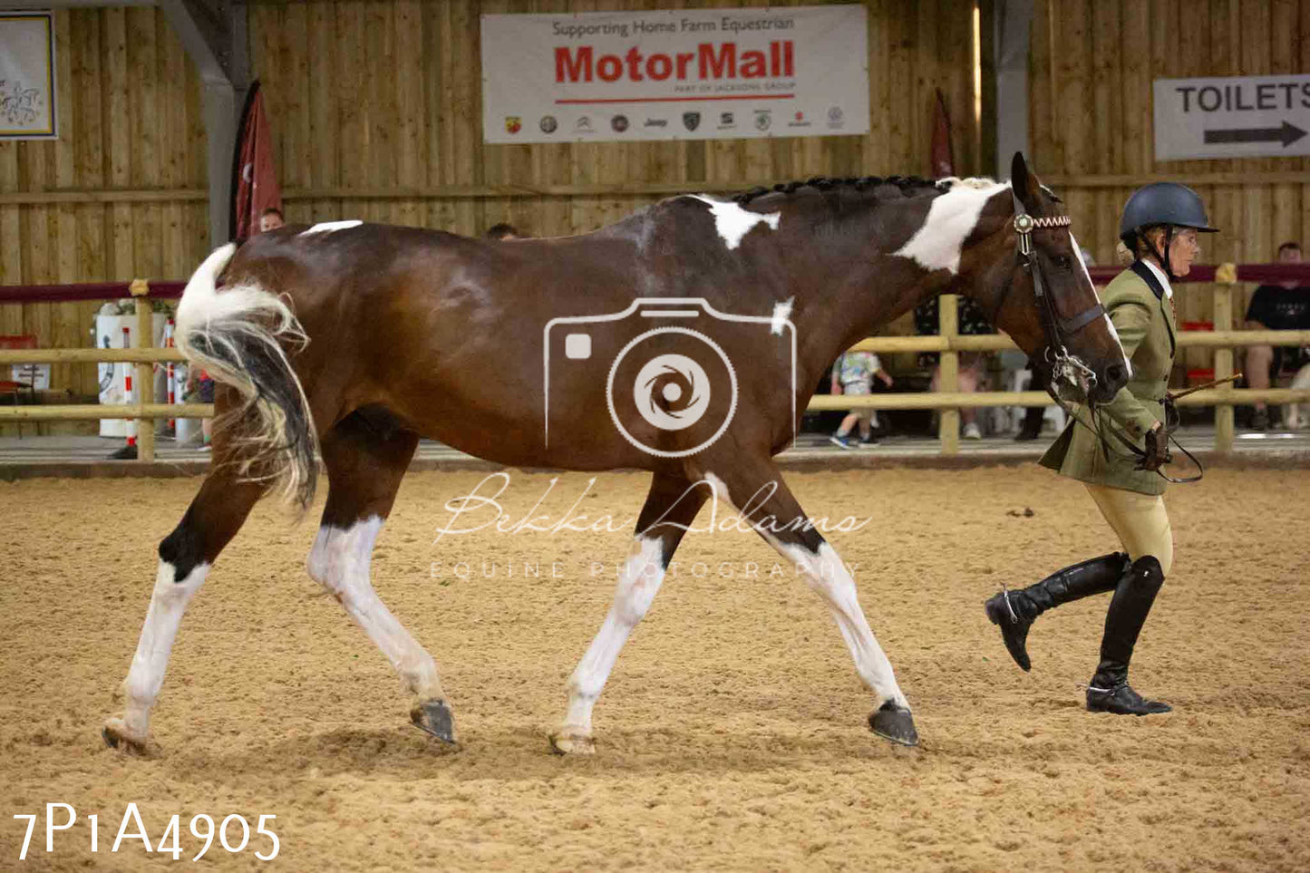 JHOYS 2023 - 10th September - Ridden Showing Pt1