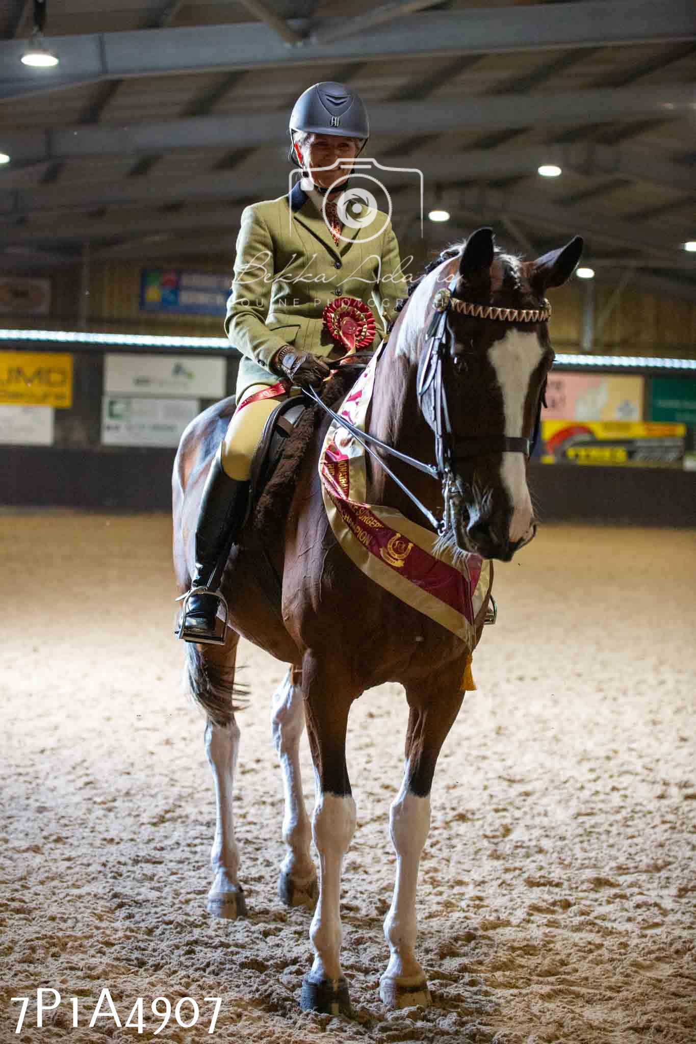 JHOYS 2023 - 10th September - Ridden Showing Pt1