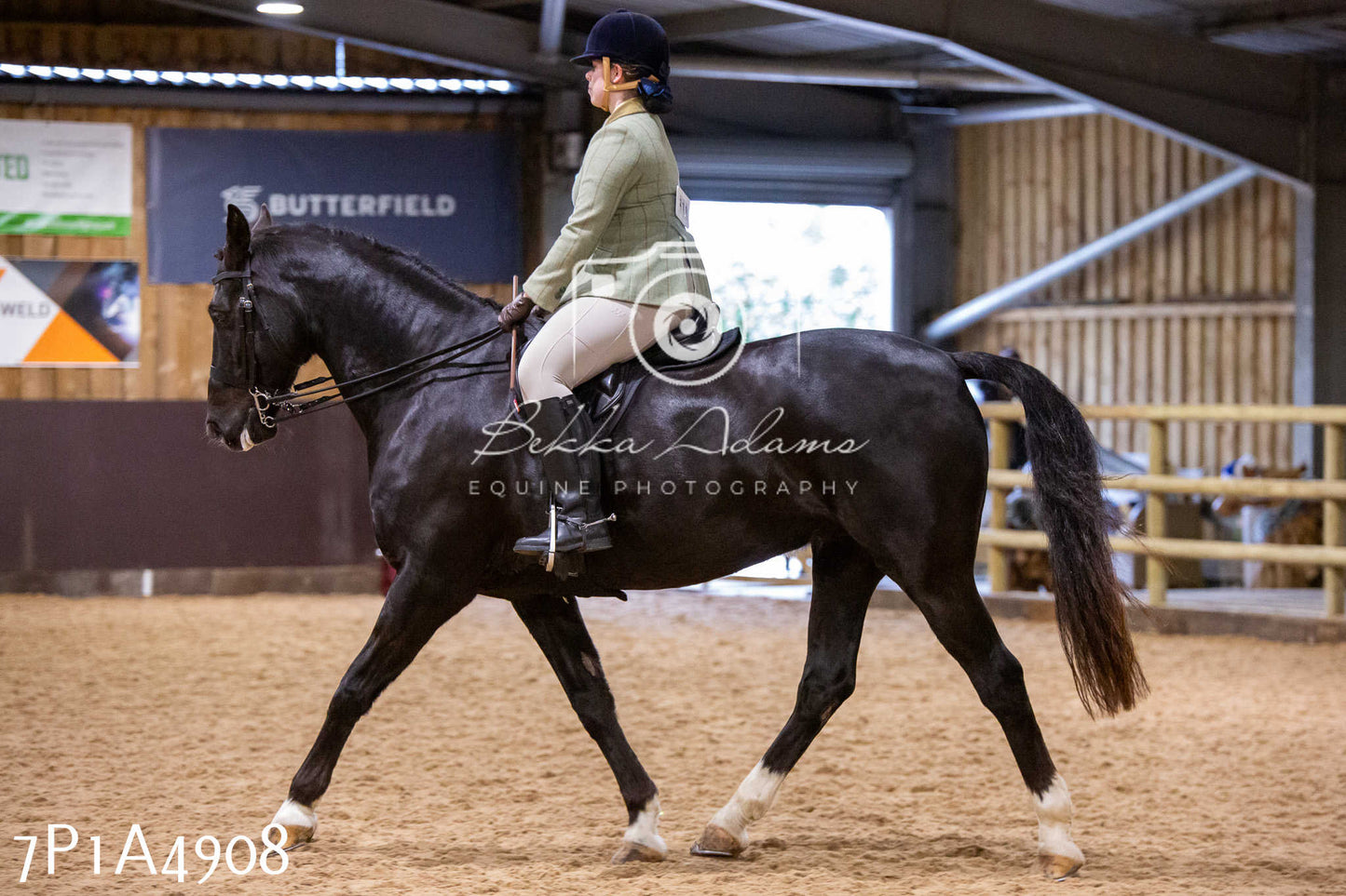 Home Farm Christmas Show 2024 - Ridden